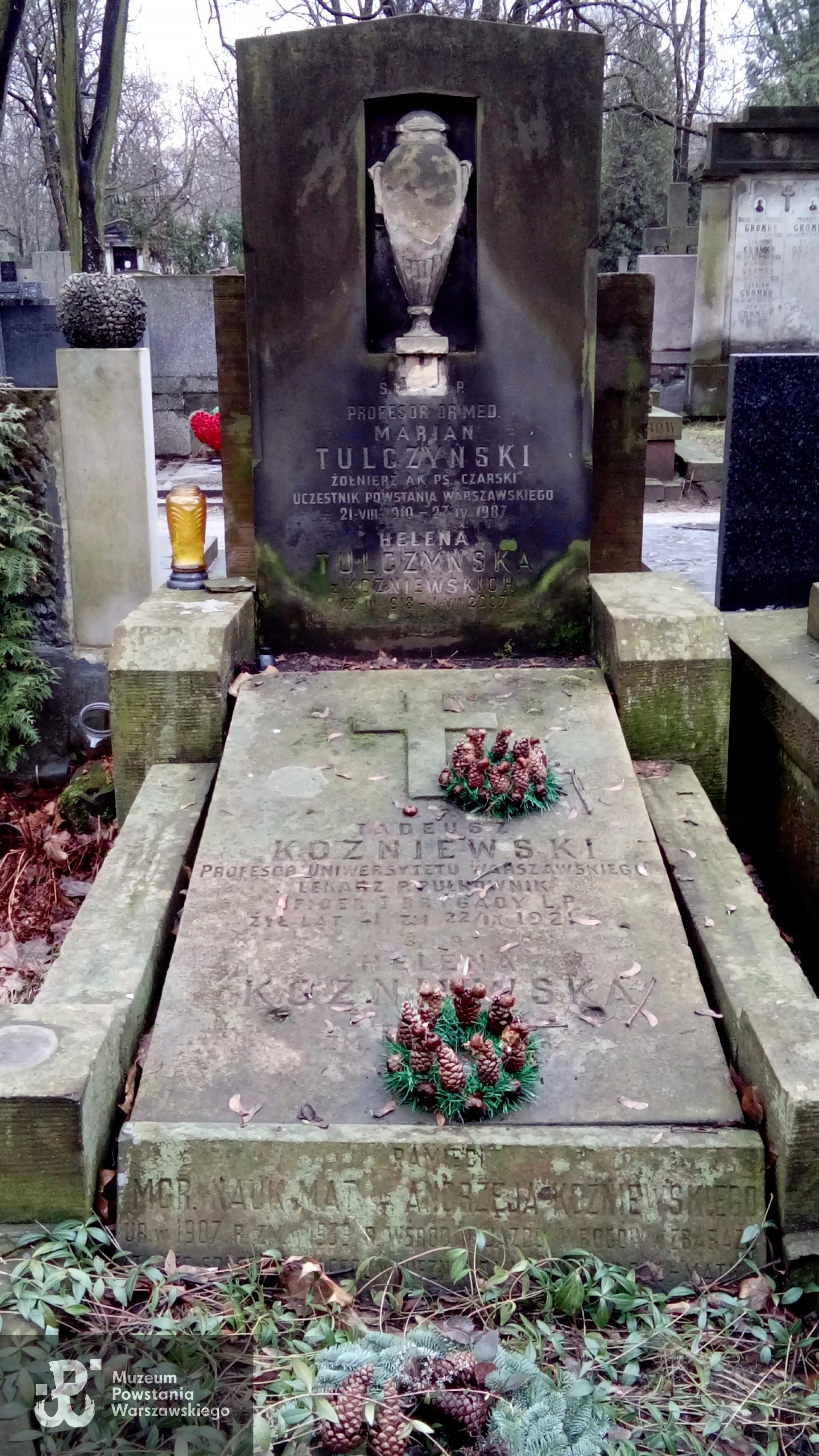 Fot. Wikimedia Commons, treść udostępniana na licencji CC0 1.0 Universal 