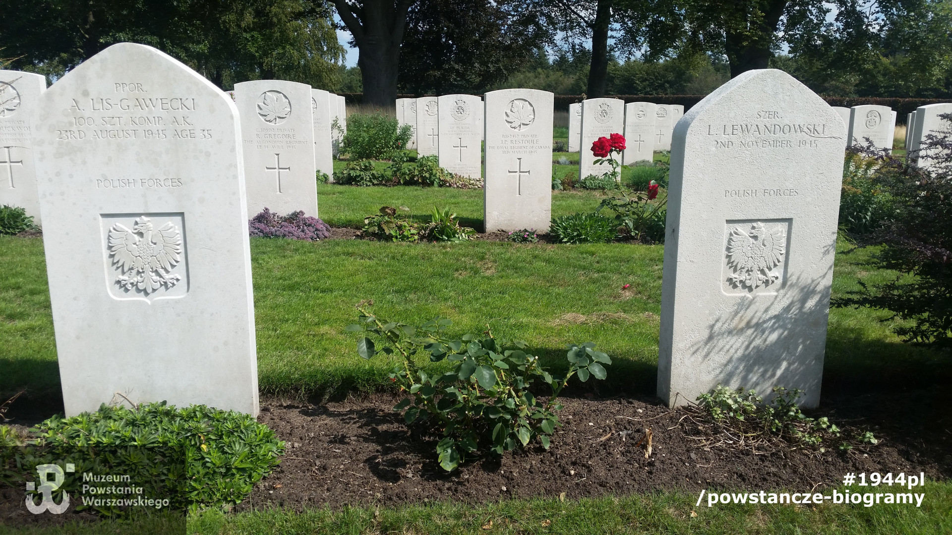 Cmentarz wojskowy Groesbeek - Holandia. Fot.  udostępniła p. Magdalena Salamonowska