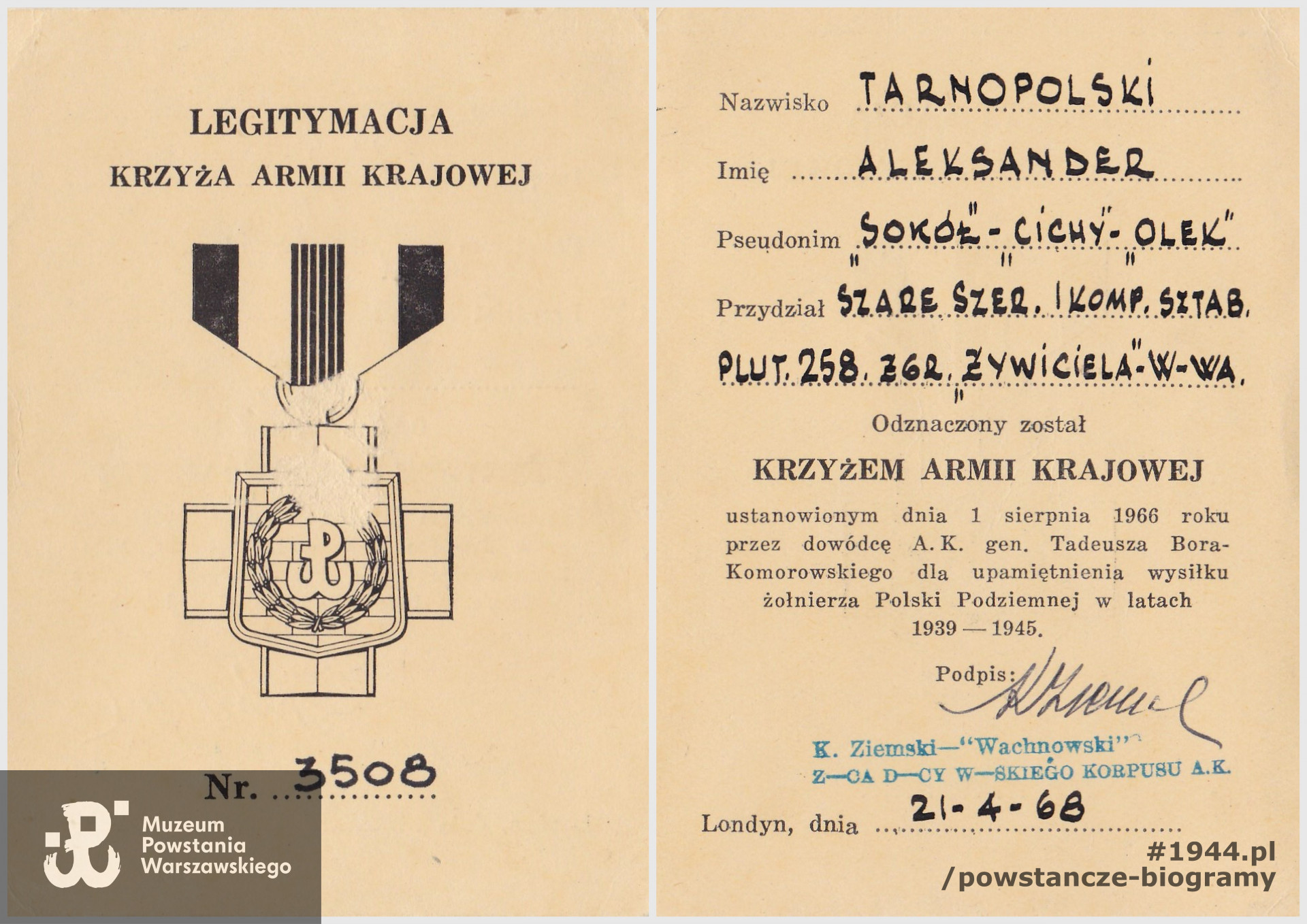 Legitymacja Krzyża Armii Krajowej. Z archiwum rodzinnego, udostępnił wnuk, p. Konrad Tarnopolski