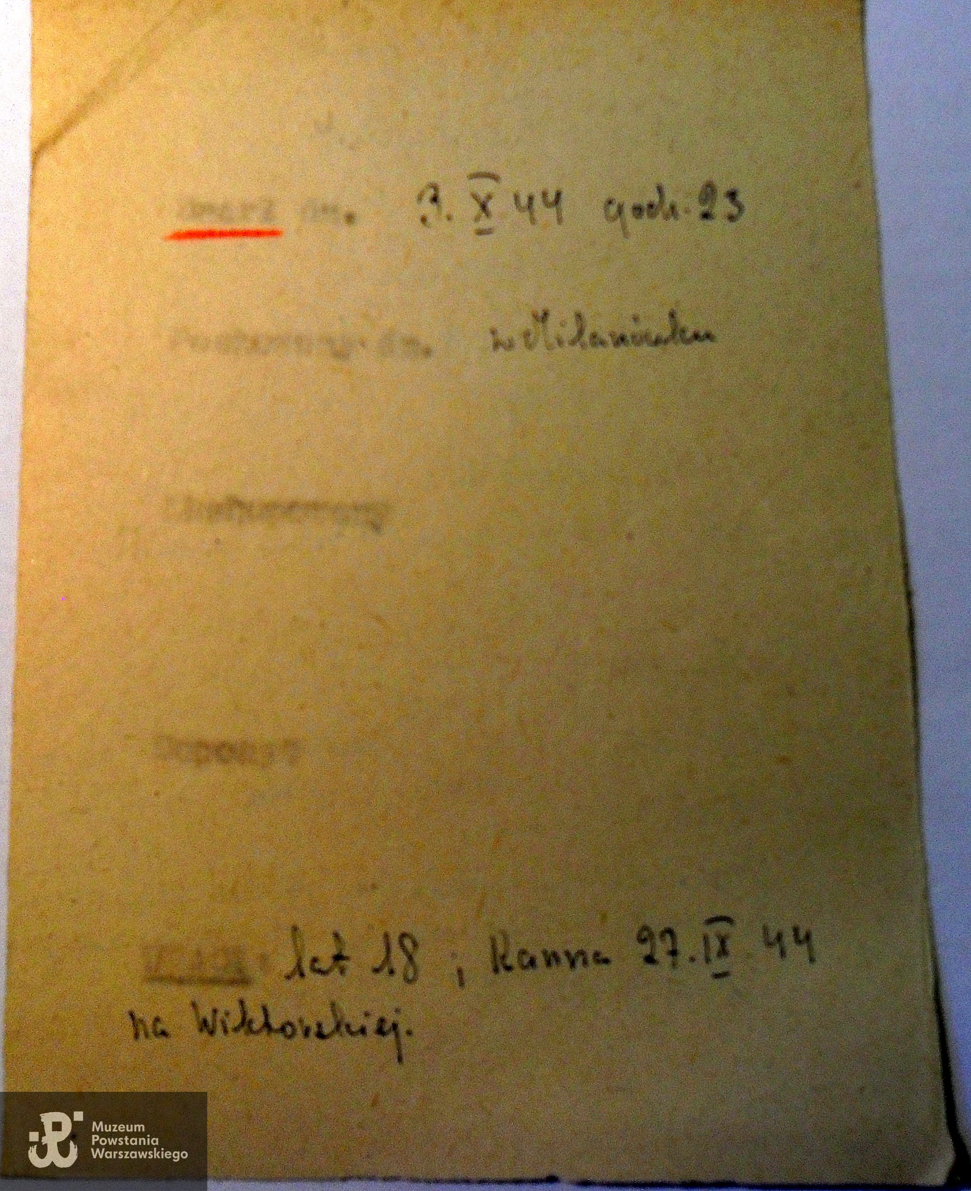 Polski Czerwony Krzyż - kartoteka