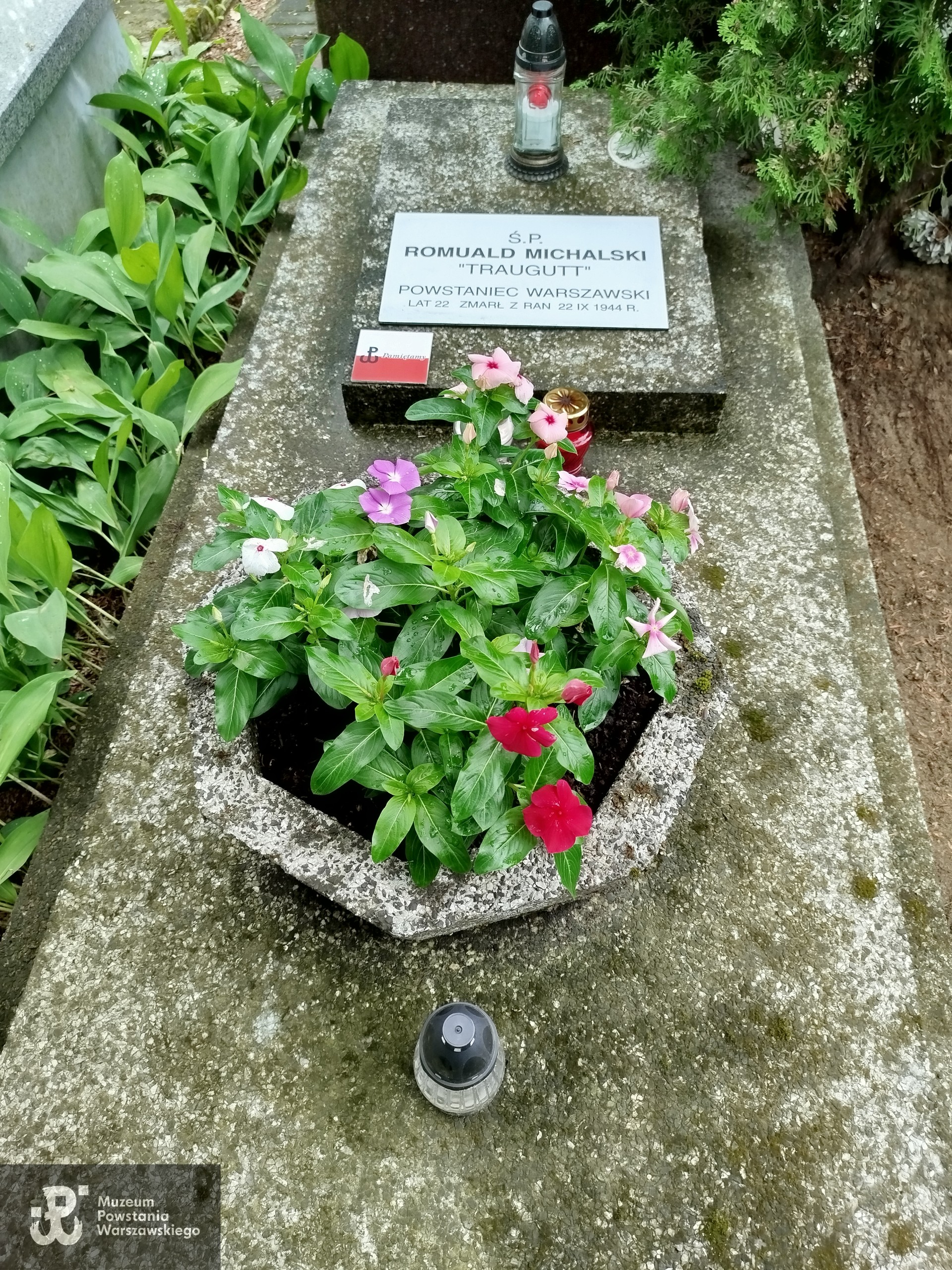 Cmentarz parafialny w Milanówku, kwatera XVII, rząd 4, grób 7. Fot. udostępniła p. Maria Smoleń