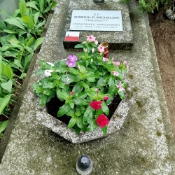 Cmentarz parafialny w Milanówku, kwatera XVII, rząd 4, grób 7. Fot. udostępniła p. Maria Smoleń