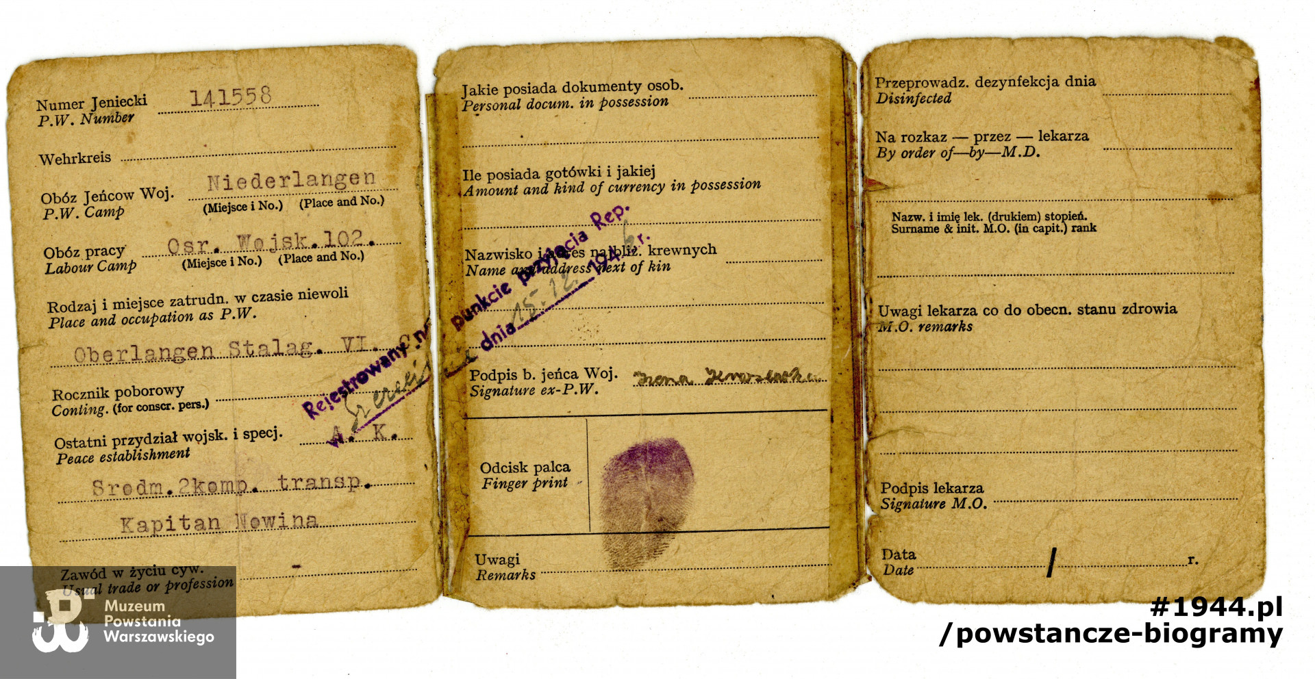 Należąca do Ireny  Kraszewskiej legitymacja byłego jeńca wojennego.  Dokument wystawiony po wyzwoleniu z obozu. Z archiwum rodzinnego, udostępniły córki, p. Elżbieta Majkowska i p. Sylwia Rojek