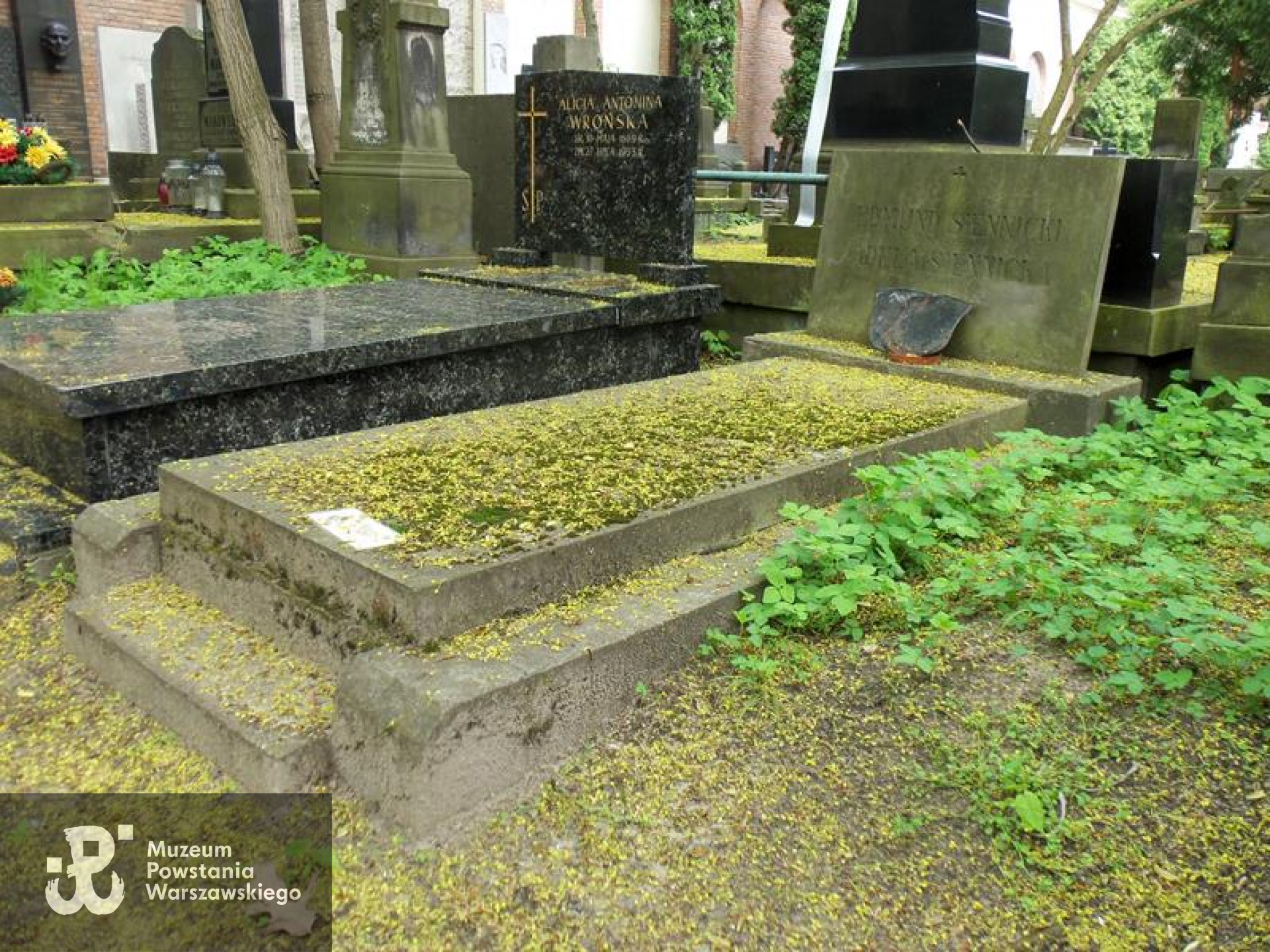 Cmentarz Powązkowski w Warszawie (Stare Powązki). Źródło fot.  Warszawskie Zabytkowe Pomniki Nagrobne <i>cmentarze.um.warszawa.pl</i>