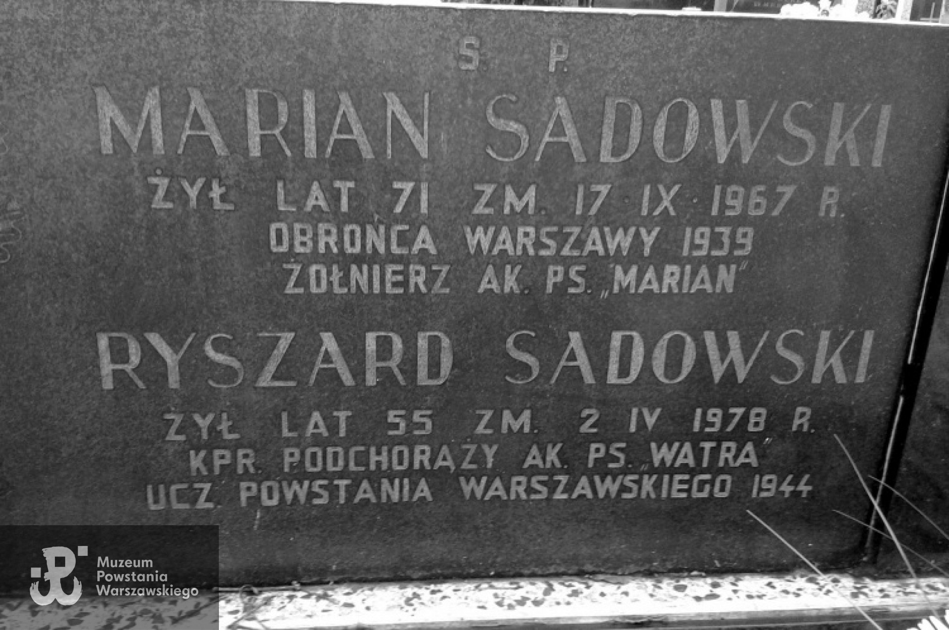 Fot. Mariusz i Paulina Skrońscy.