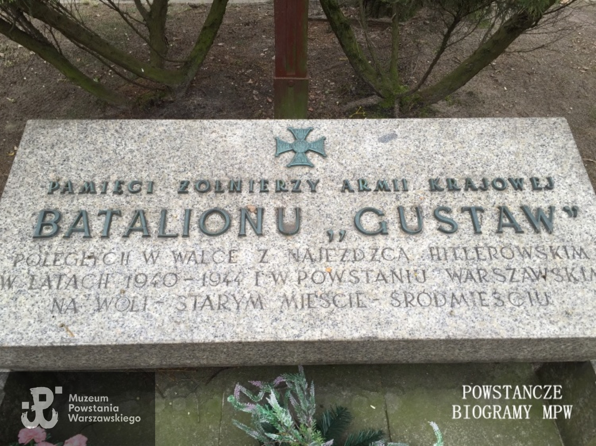 Fot. Tomasz Bobolecki