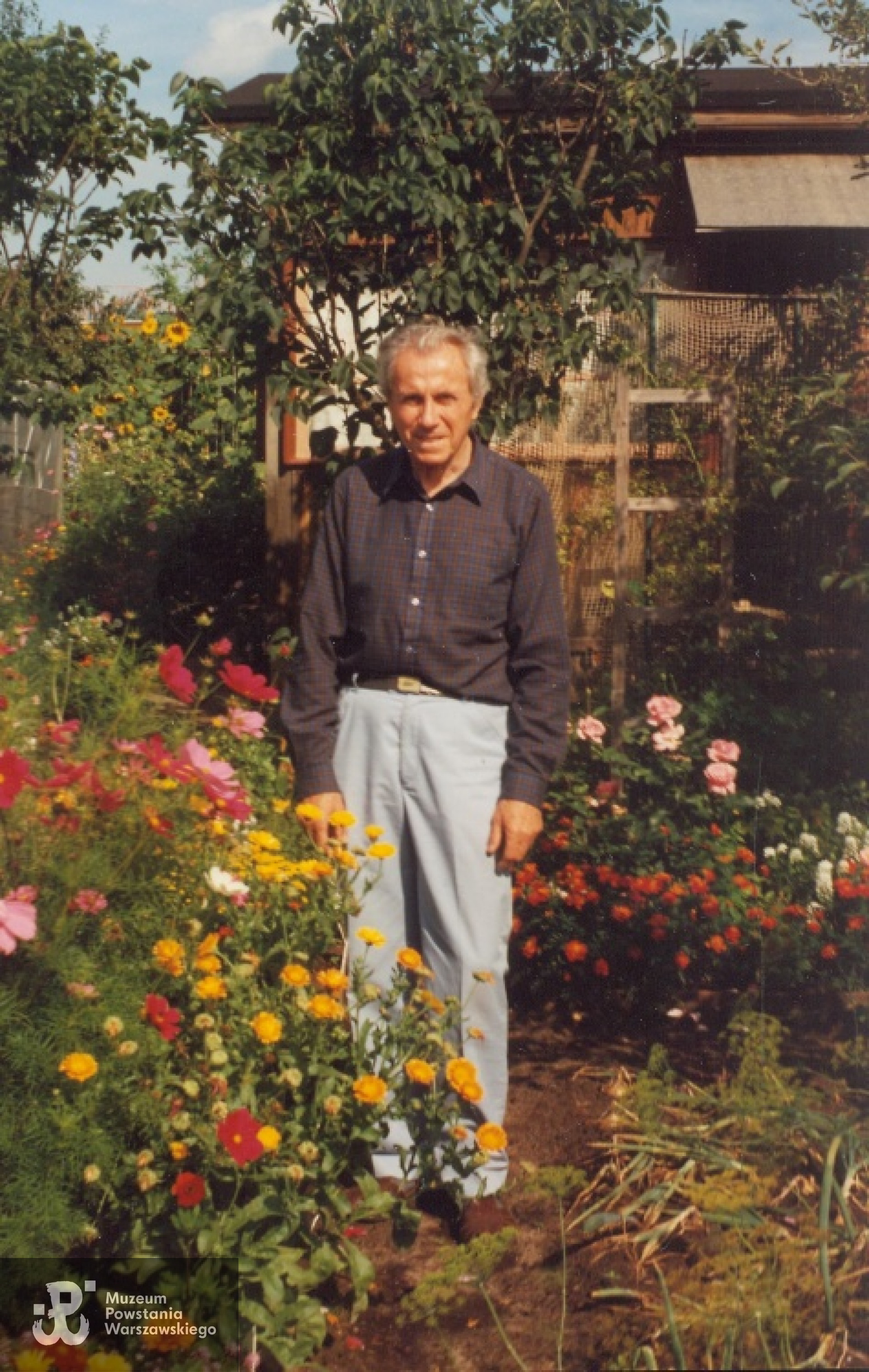 Wiesław Gucman w ostatnich latach życia. Ze zbiorów rodzinnych p. Krzysztofa Gucmana