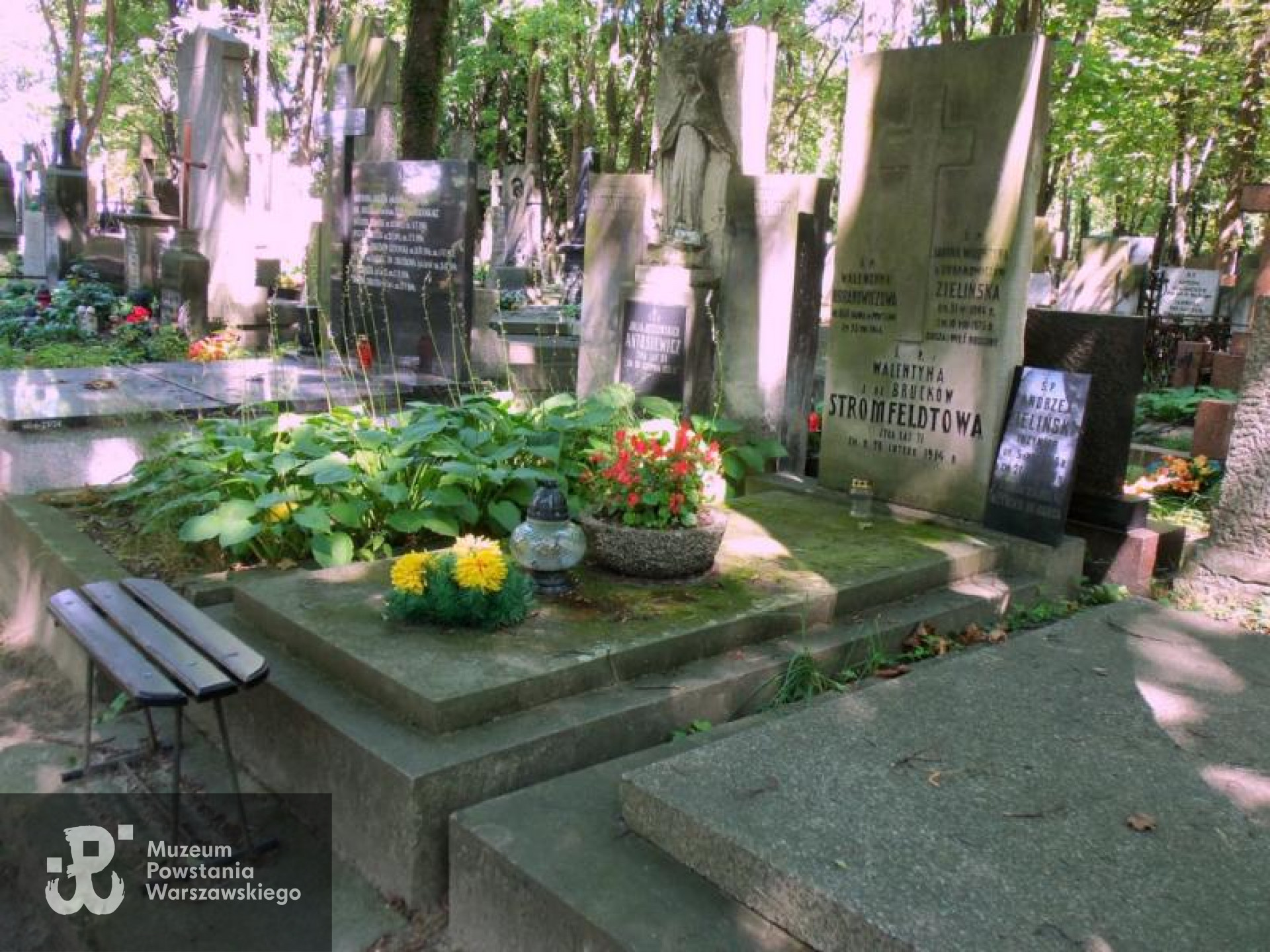 Cmentarz Powązkowski w Warszawie (Stare Powązki), kwatera  60, rząd 6, miejsce 26 (grób Walentyny Stromfeldtowej z 1914 r.). Fot. Warszawskie Zabytkowe Pomniki Nagrobne:  <i>cmentarze.um.warszawa.pl</i>
