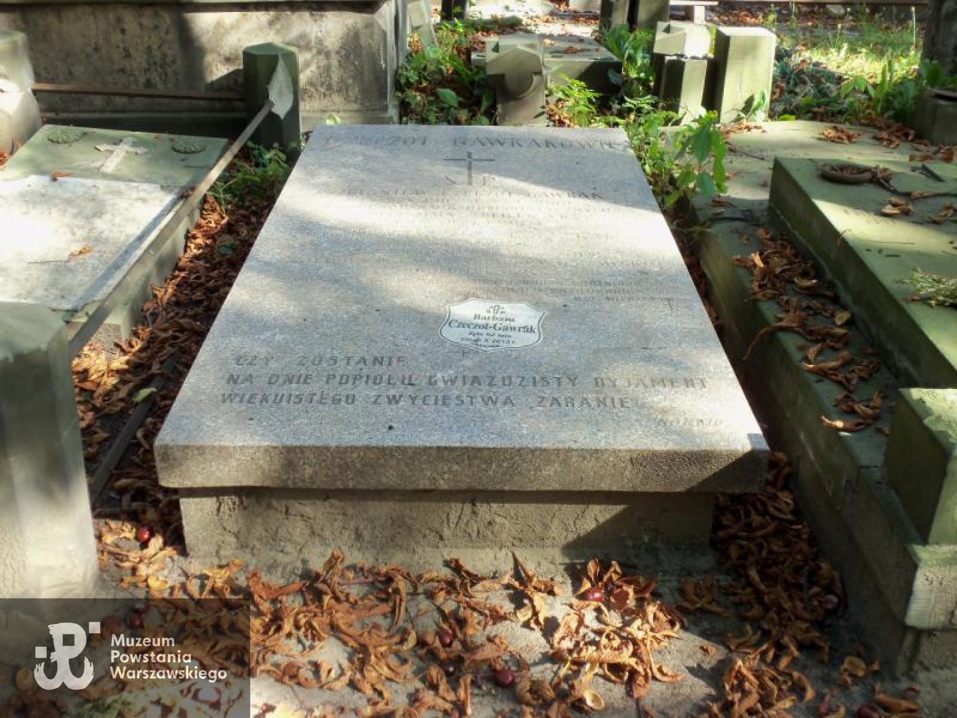 Cmentarz Powązkowski w Warszawie (Stare Powązki), kwatera 165, rząd 4, grób 25. Fot. Muzeum Powstania Warszawskiego/Baza Grobów
