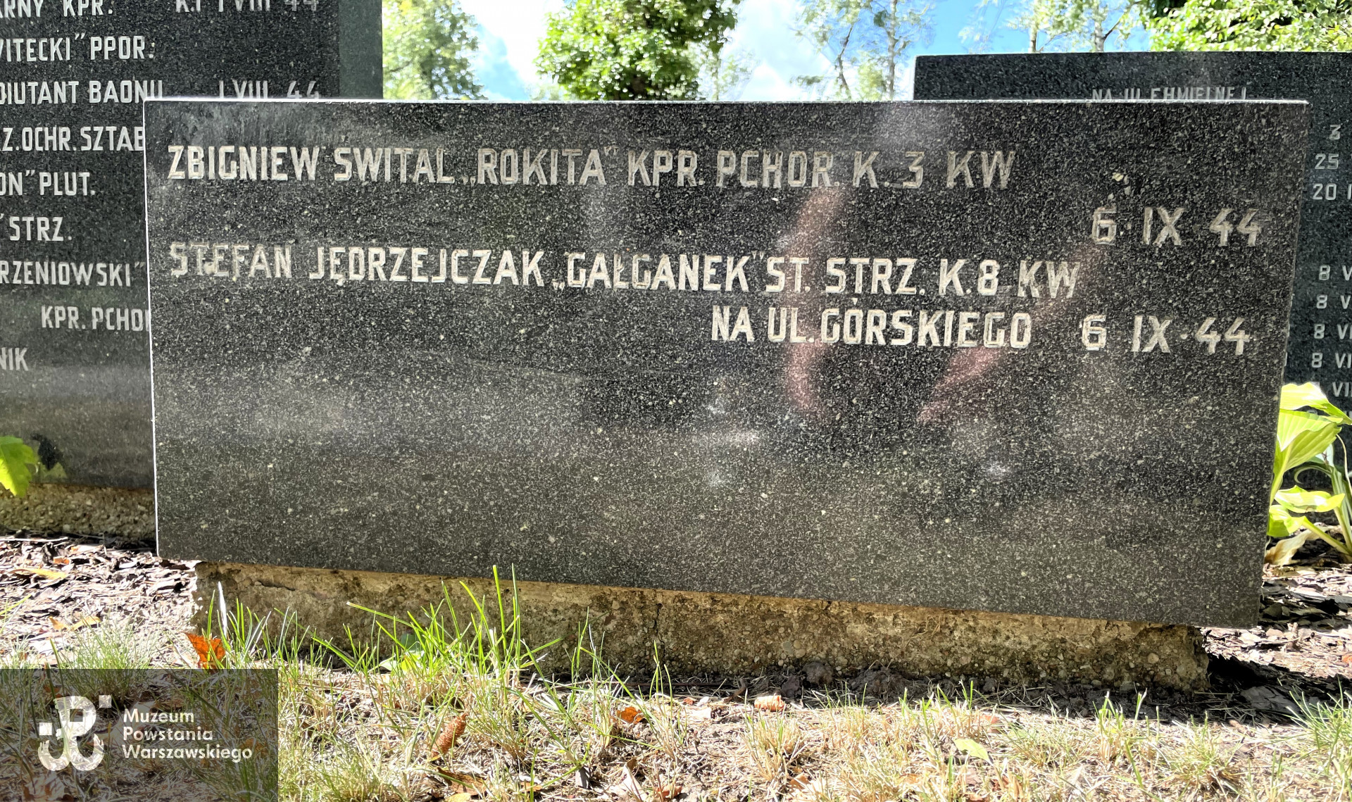 Cmentarz Powązki Wojskowe, kwatera B 24. Fot. p. Mirosław Szymczak