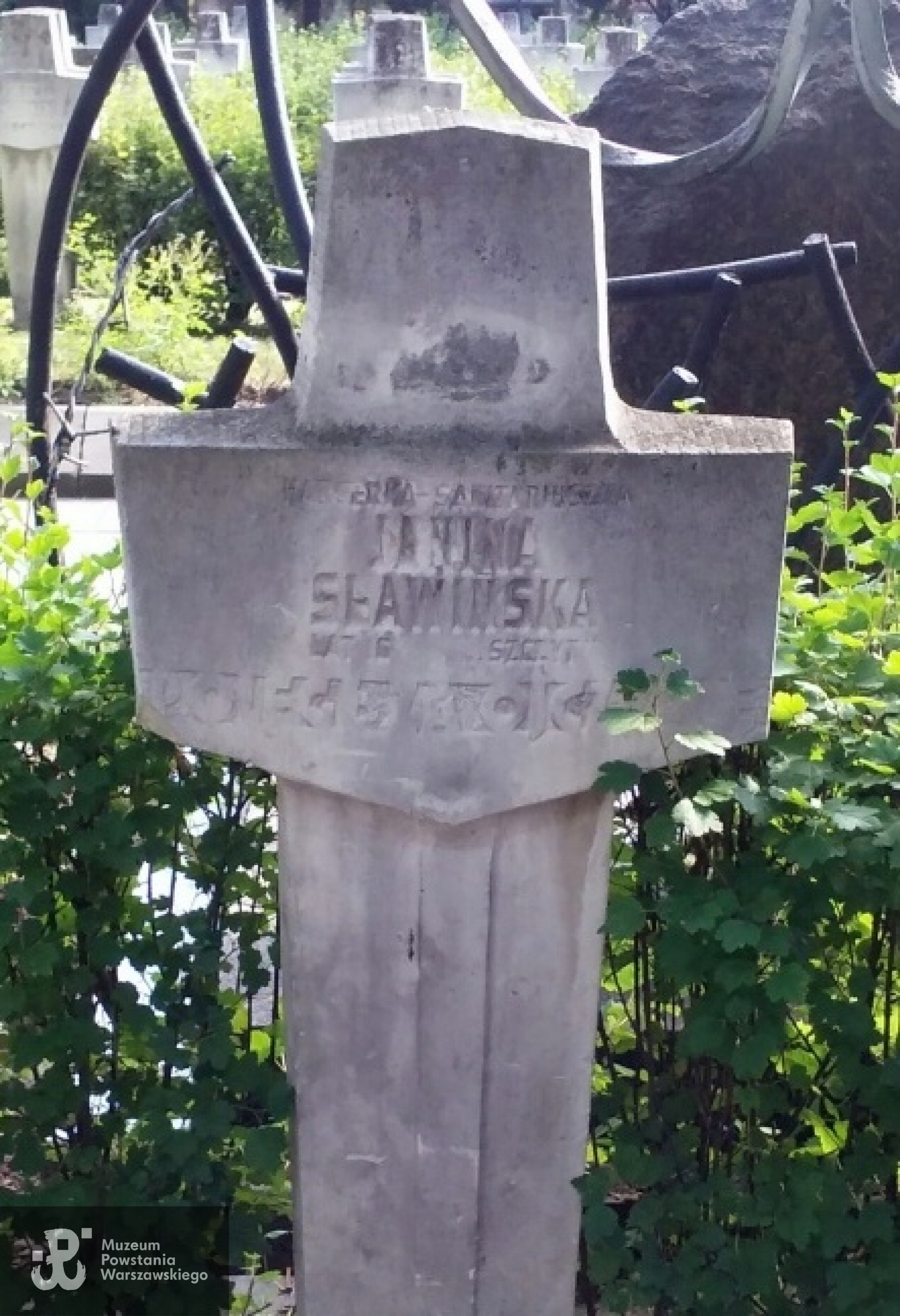 Cmentarz Wojskowy na Powązkach. Fot. udostępniła Magdalena Ciok.