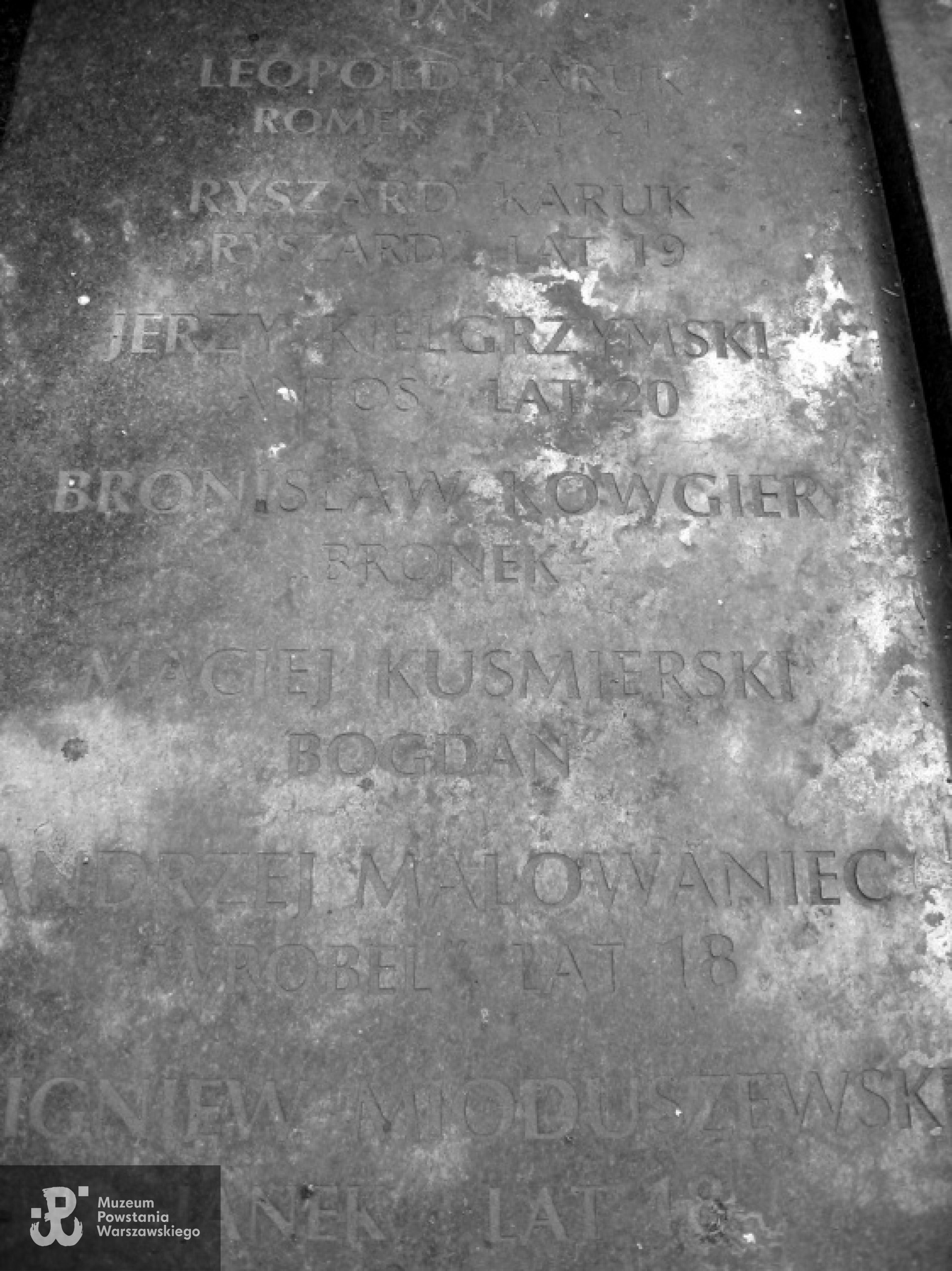 Fot. Michał Kowgier