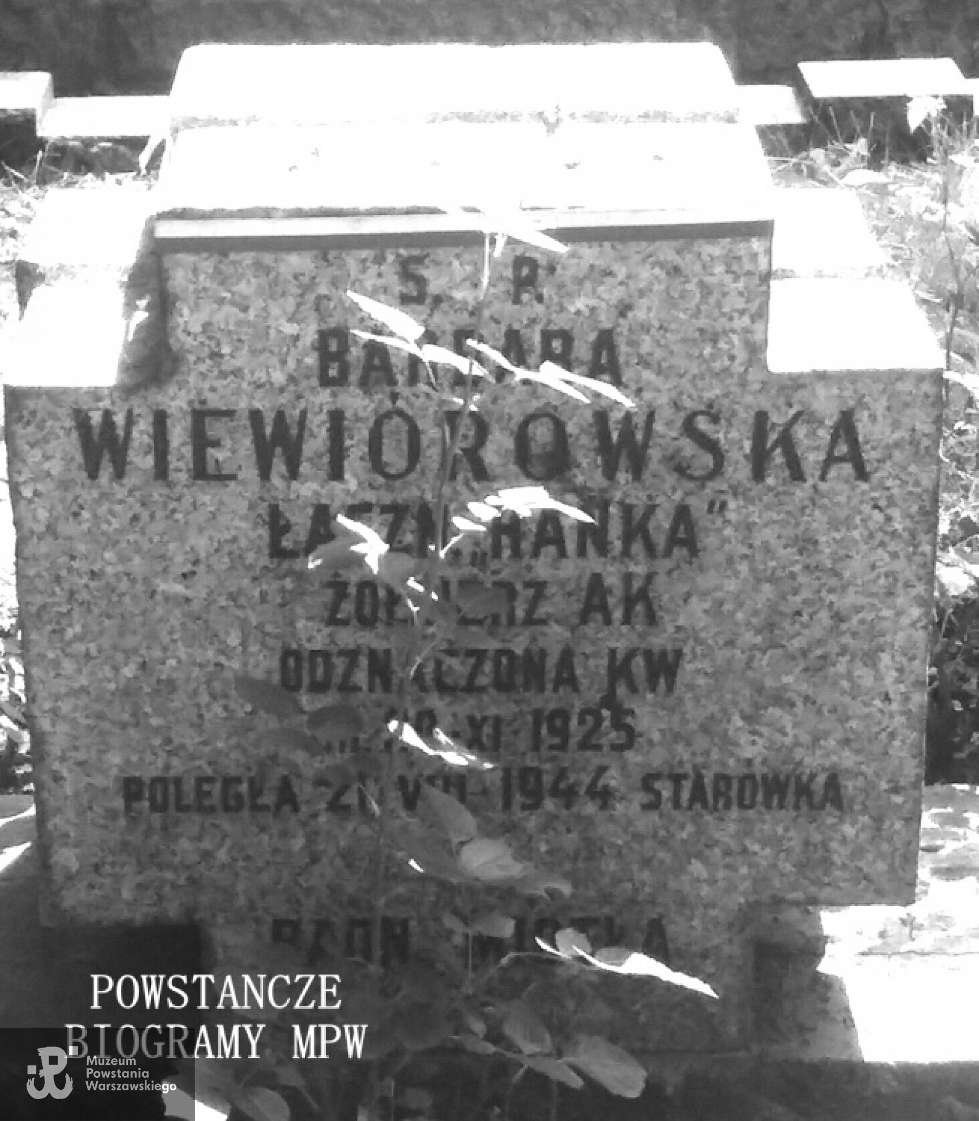 Cmentarz Wojskowy na Powązkach, kwatera batalionu "Miotła" (A-22). Fot. udostępnione przez Magdalenę Ciok