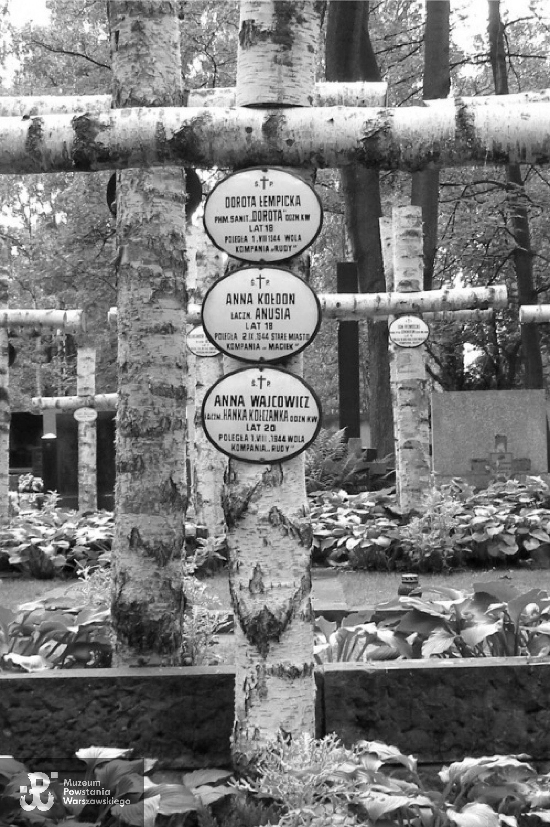 Mogiła Anny Kołdoń na Powązkach Wojskowych w kwaterach żołnierzy i sanitariuszek batalionu "Zośka".