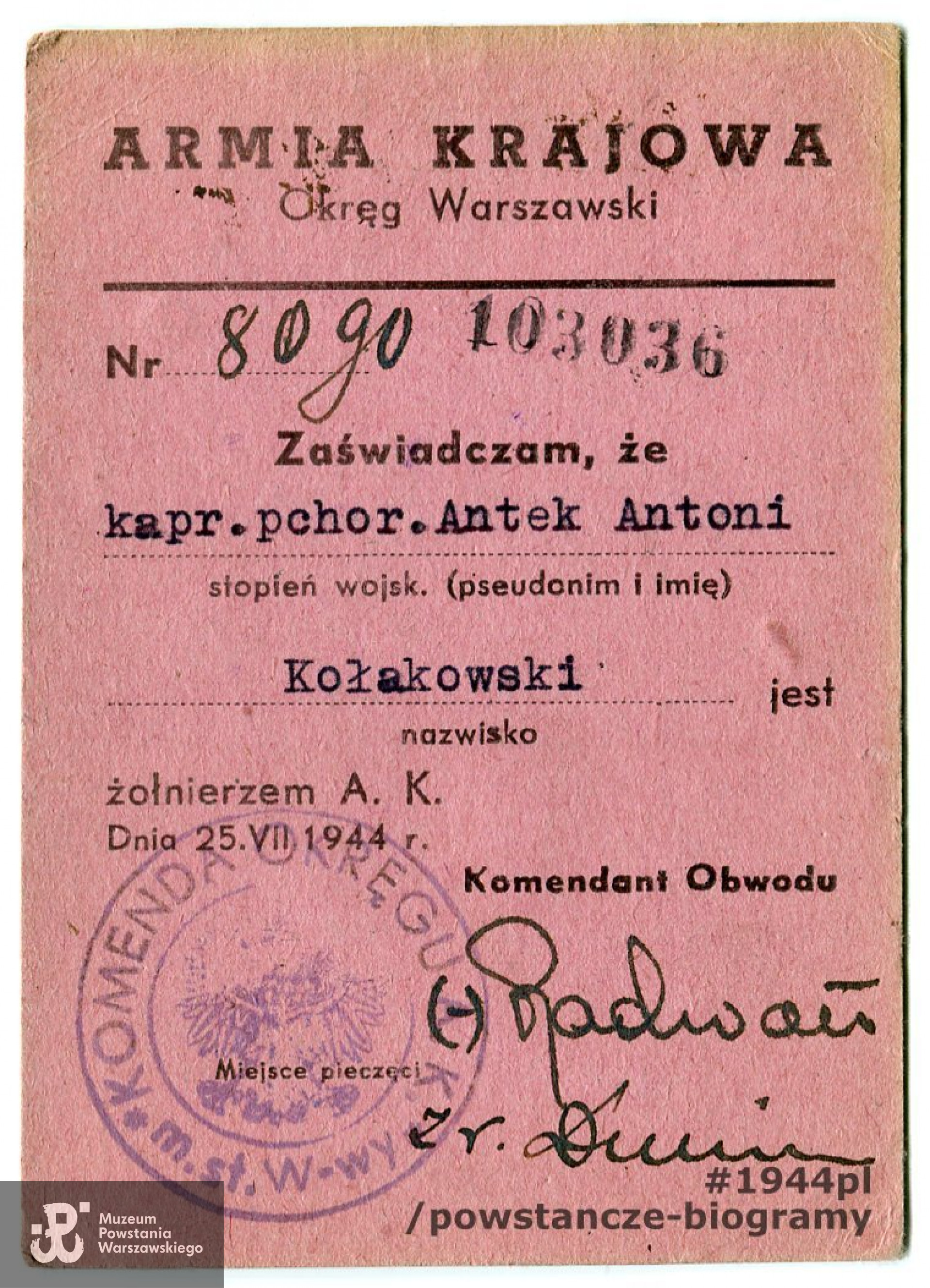 Legitymacja AK, nr 8090, wystawiona z datą 25.07.1944 r. Stopień i nazwisko: kpr. pchor. Kołakowski Antoni ps. Antek. Na legitymacji numer jeniecki 103036. Na rewersie: przydział do 1 kompanii, VII Zgrupowanie. Ze zbiorów Muzeum Powstania Warszawskiego, sygn. MPW-A-4593 (P/9426/20) 