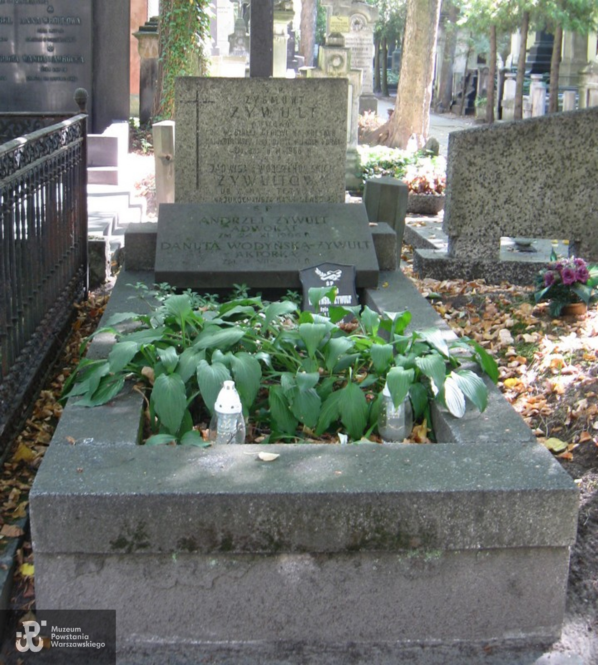 Cmentarz Powązkowski w Warszawie (Stare Powązki), kw. 16 - 6 -29. Fot. <i> mojecmentarze.blogspot.com</i>