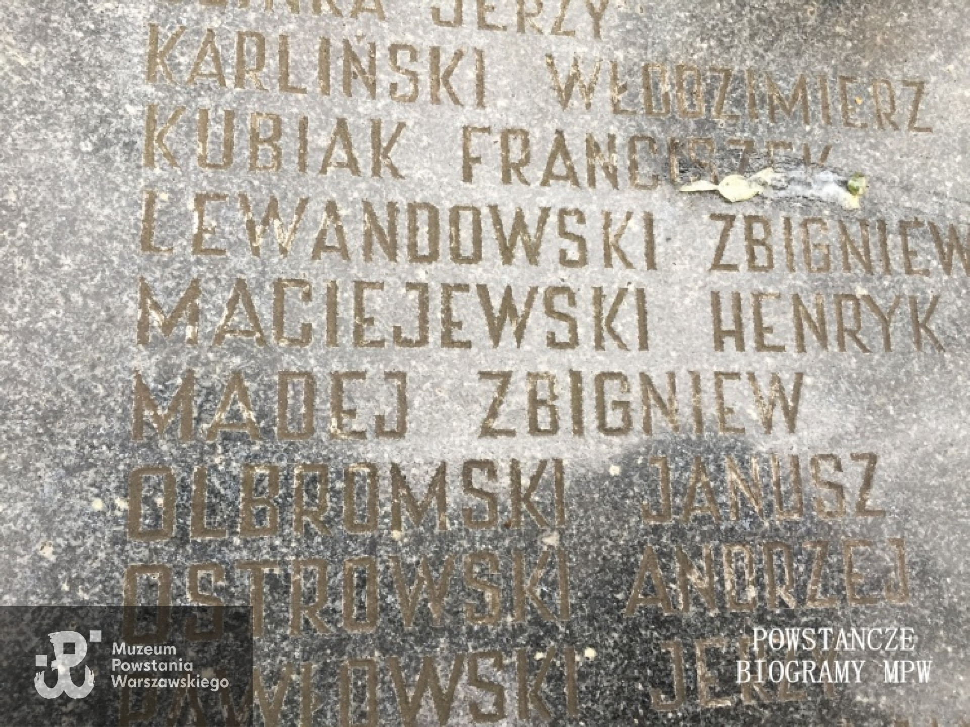 Fot. Tomasz Bobolecki