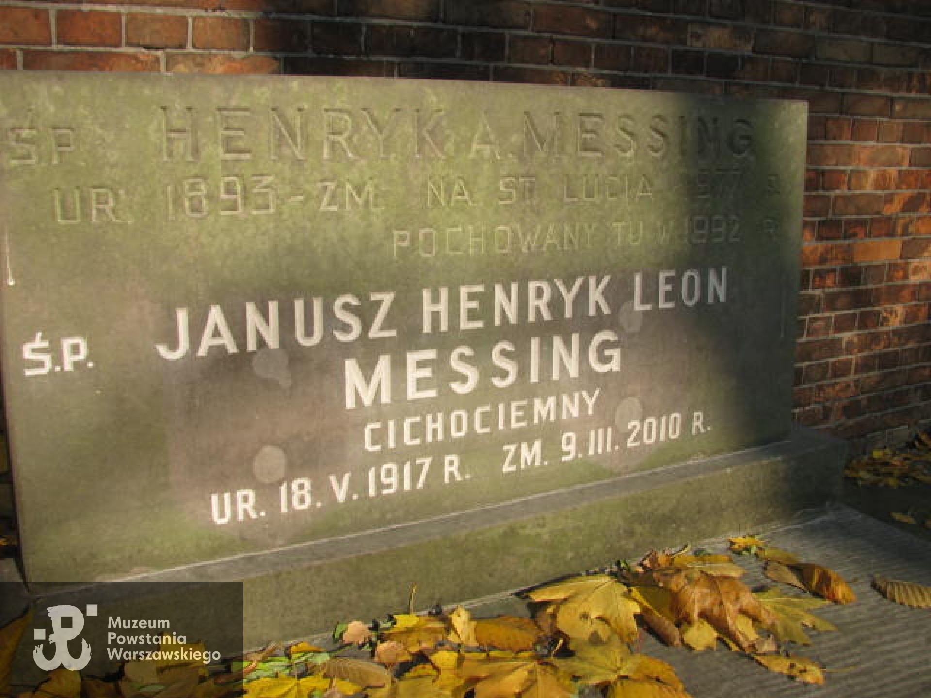  Cmentarz Ewangelicko-Augsburski w Warszawie, fot.  https://wawamlynarska.grobonet.com