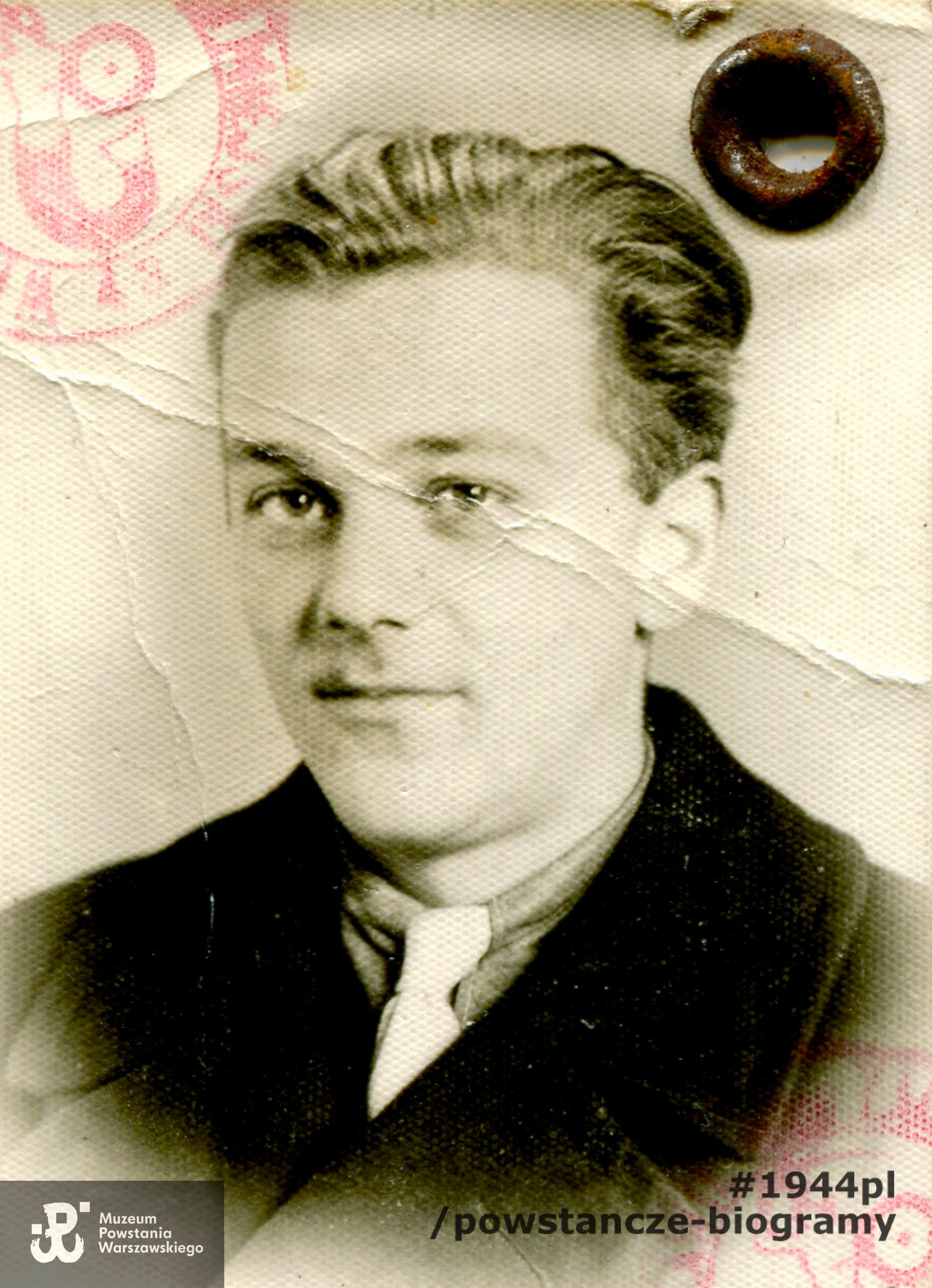 Zbigniew Olszewski - 1943 rok. Fotografia  portretowa pochodząca z kenkarty z okresu okupacji niemieckiej. Ze zbiorów Muzeum Powstania Warszawskiego,  sygn. MPW-A-5402