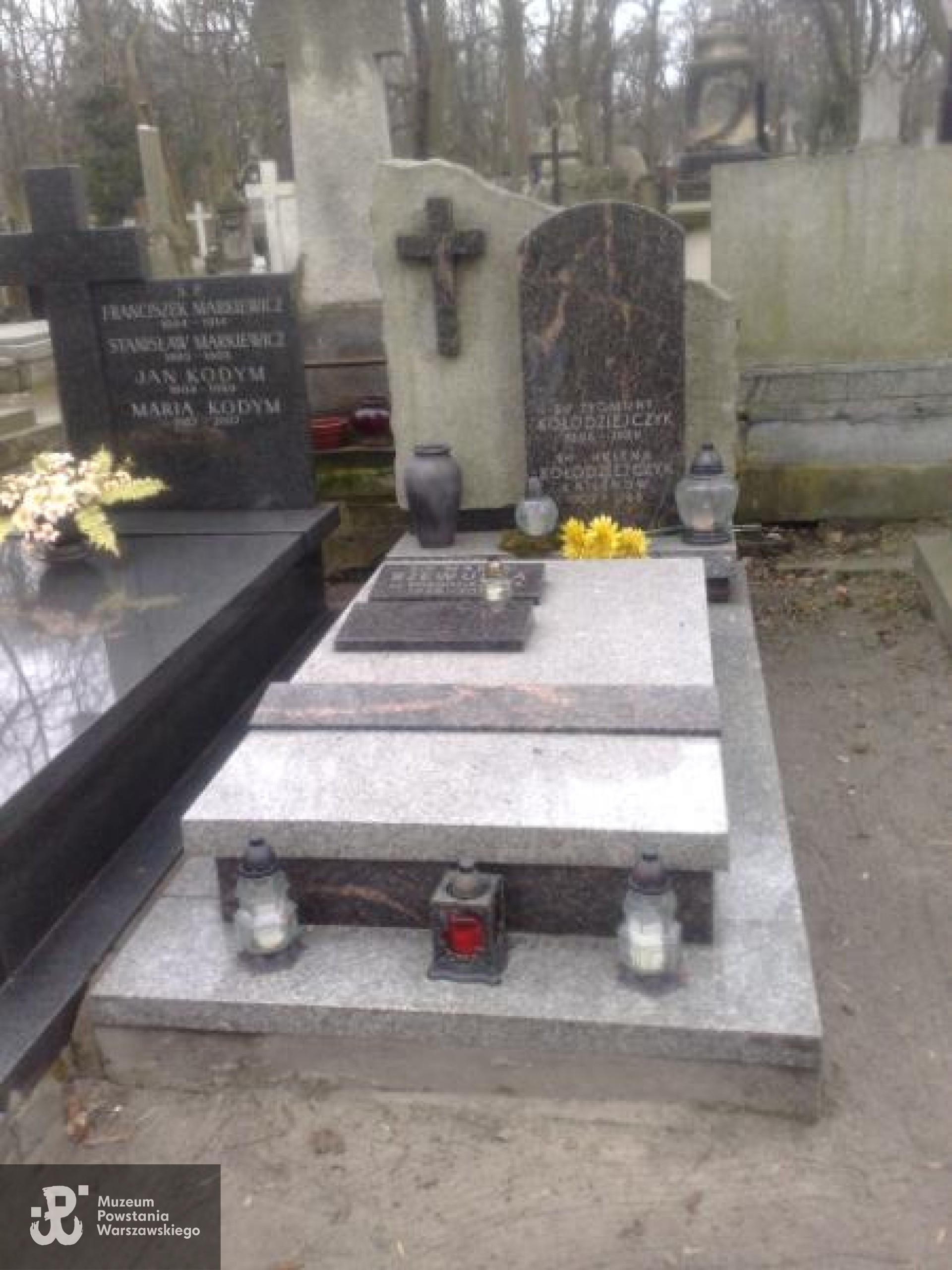 Cmentarz Powązkowski w Warszawie (Stare Powązki), kwatera 175, rząd 5, miejsce 15