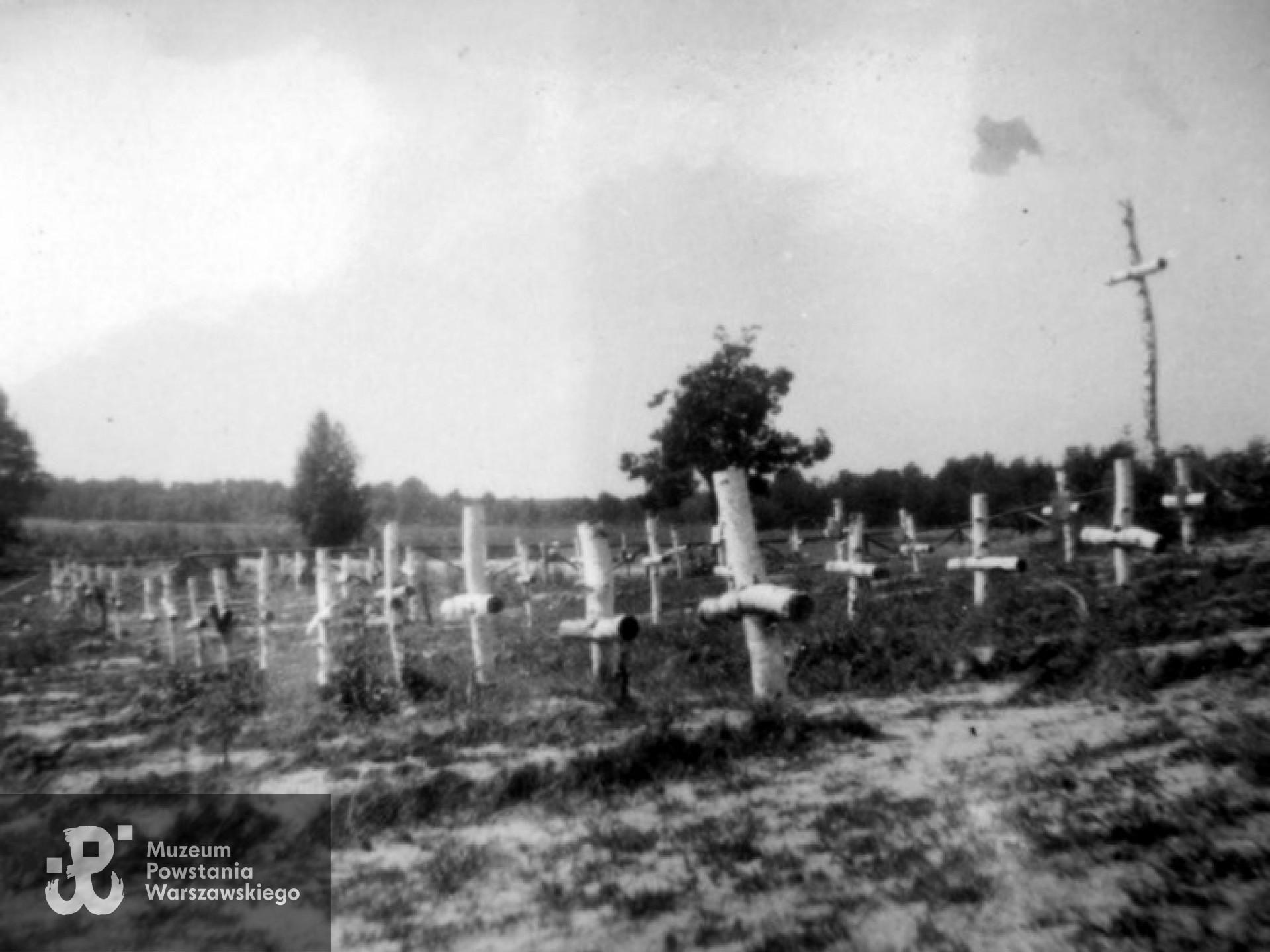 Cmentarz w Wierszach - 1946. Z archiwum Marka Kamionowskiego