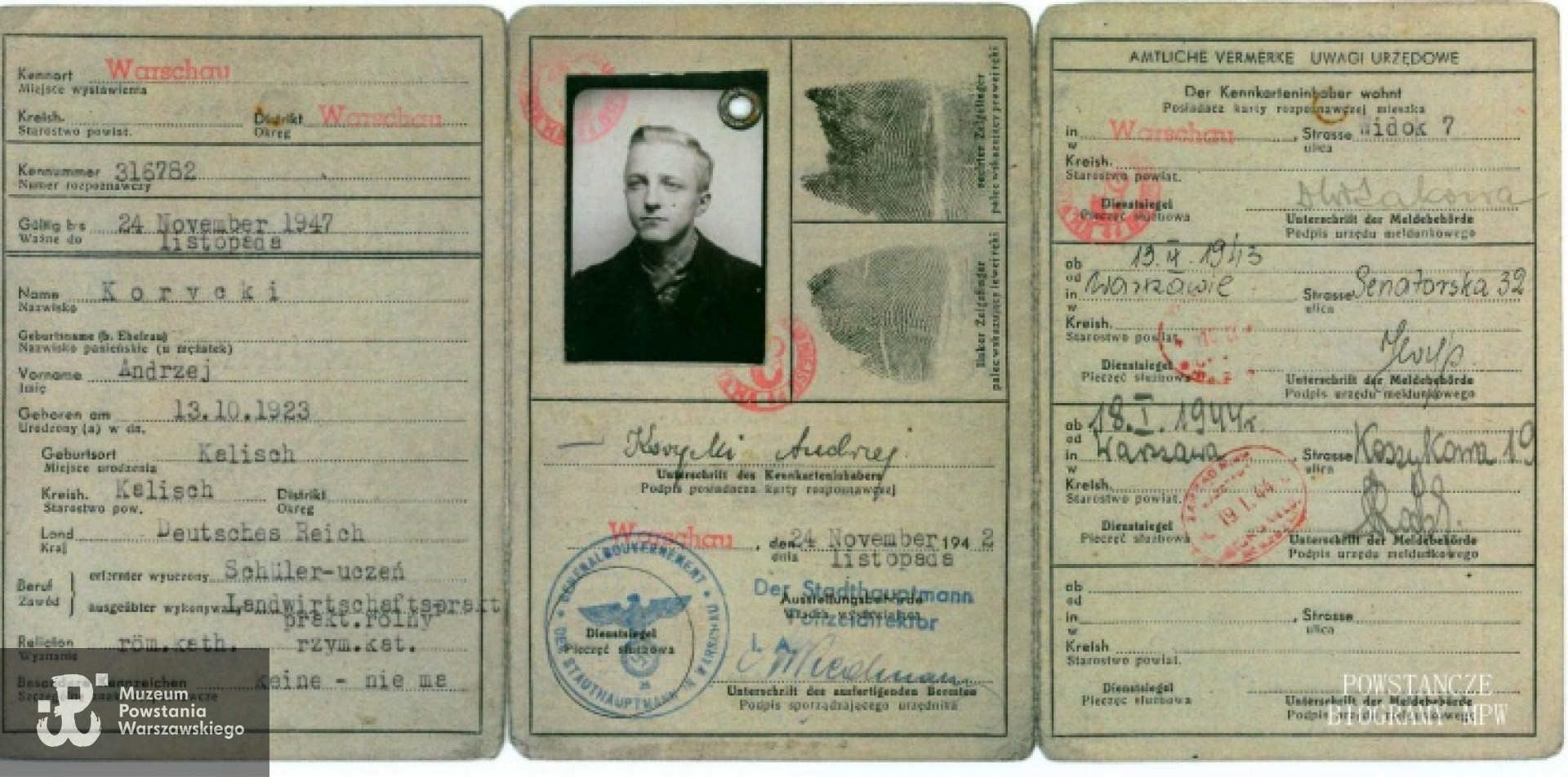 Okupacyjna kenkarta. Fot. Piotr Korycki - archiwum rodzinne.