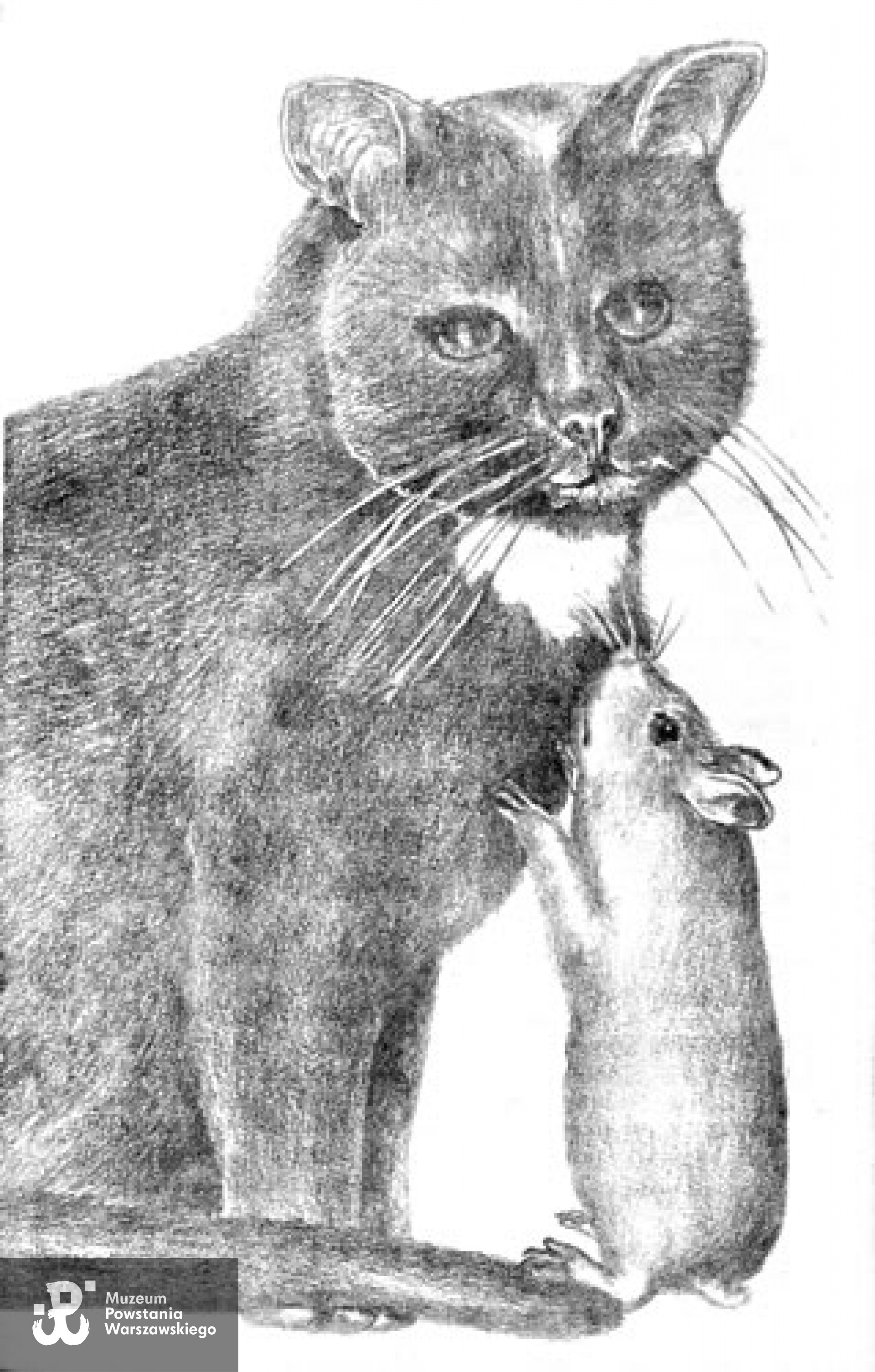 Prace: grafiki. <i>www.danutazukowska-grafik.pl</i>