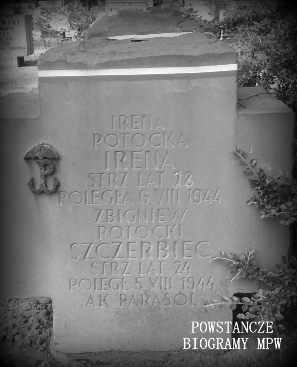 Cmentarz Wojskowy na Powązkach, kwatera "Parasola". Fot. udostępniła Magdalena Ciok.