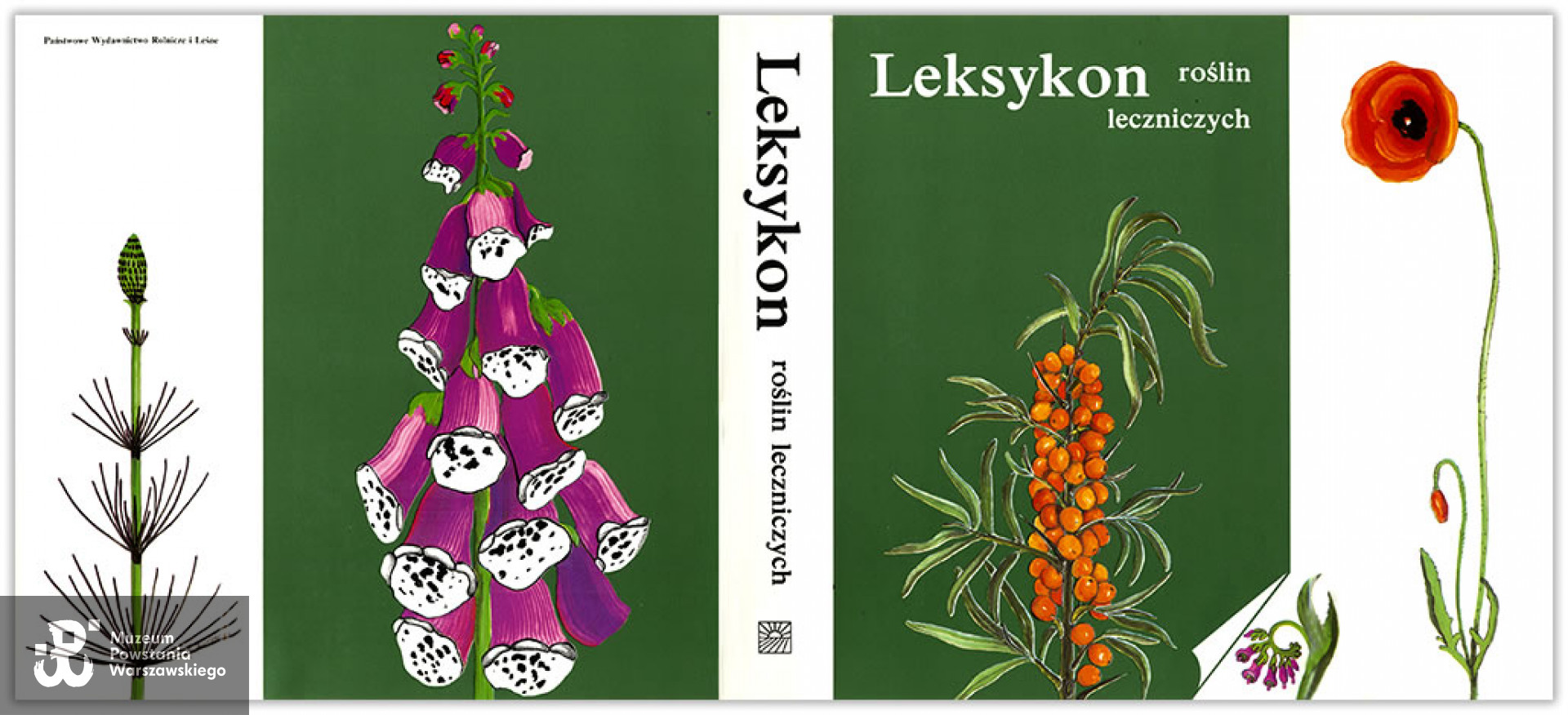 Prace: obwoluty książek <i>www.danutazukowska-grafik.pl</i>