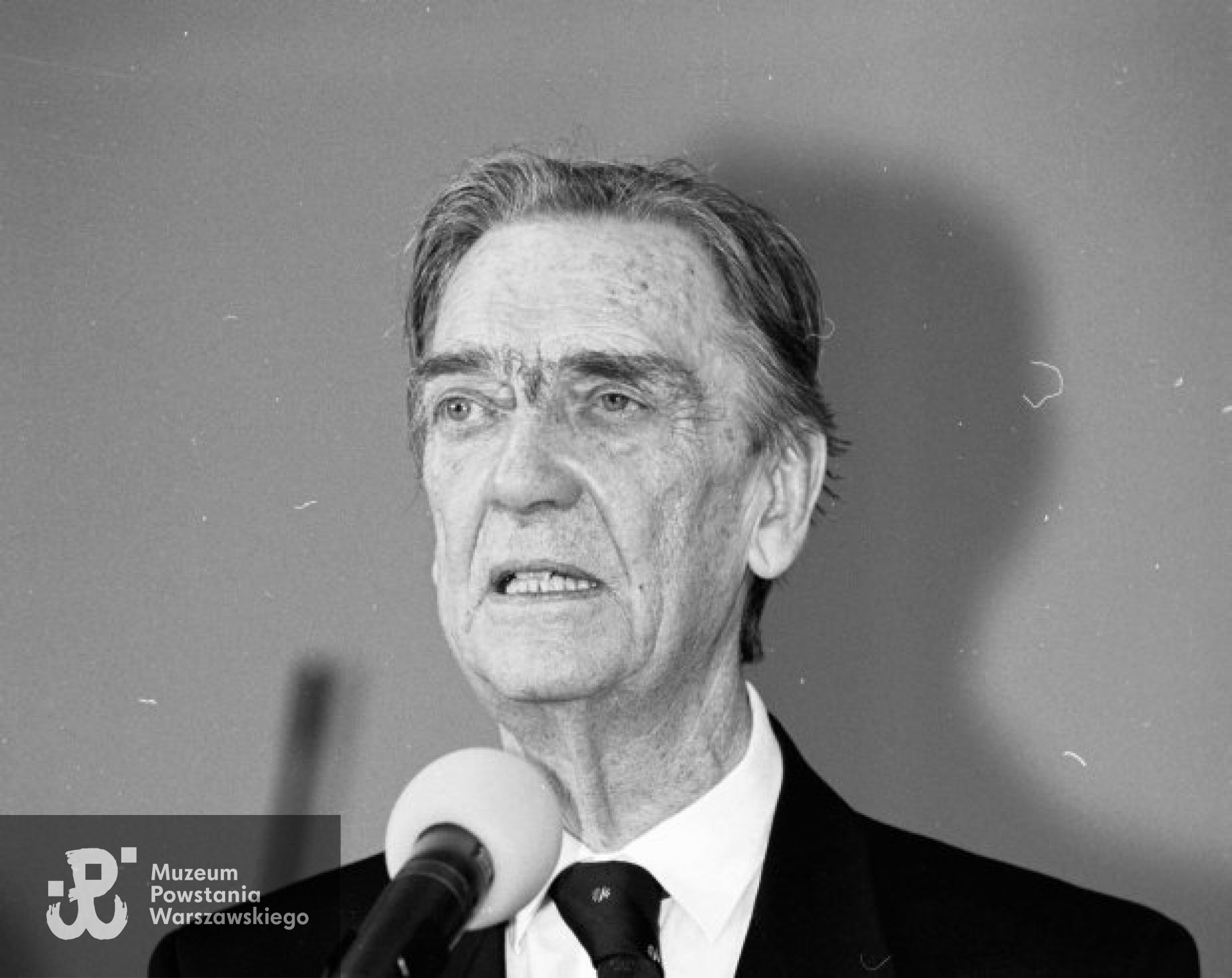 Fot. materiały prasowe