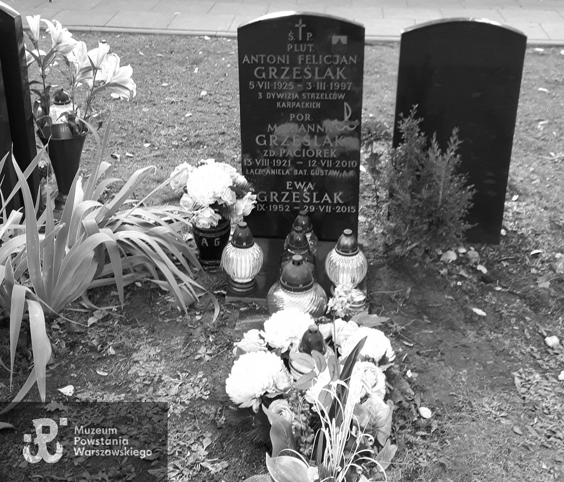 Fot. udostępnił p. Tomasz Grześlak