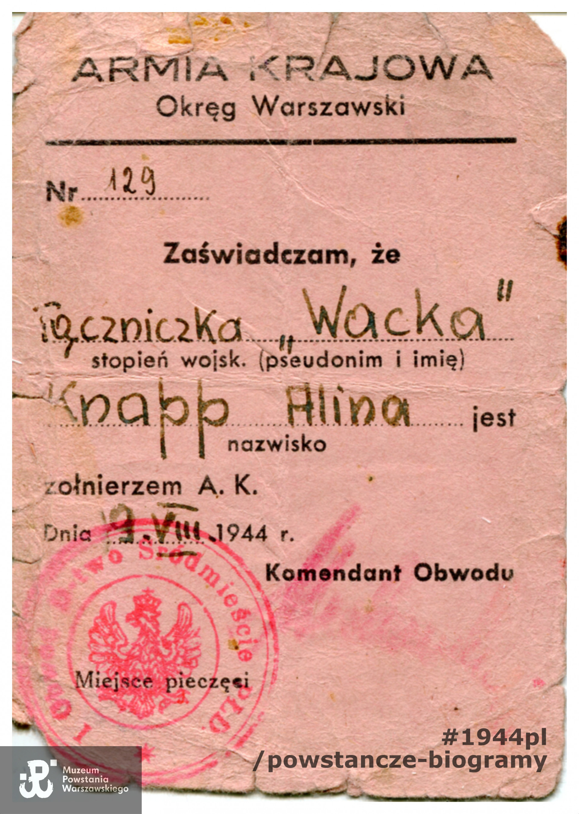 Należąca do Aliny Knapp legitymacja Armii Krajowej. Ze zbiorów Muzeum Powstania Warszawskiego, sygn. MPW-A-3863 (P/4350)
