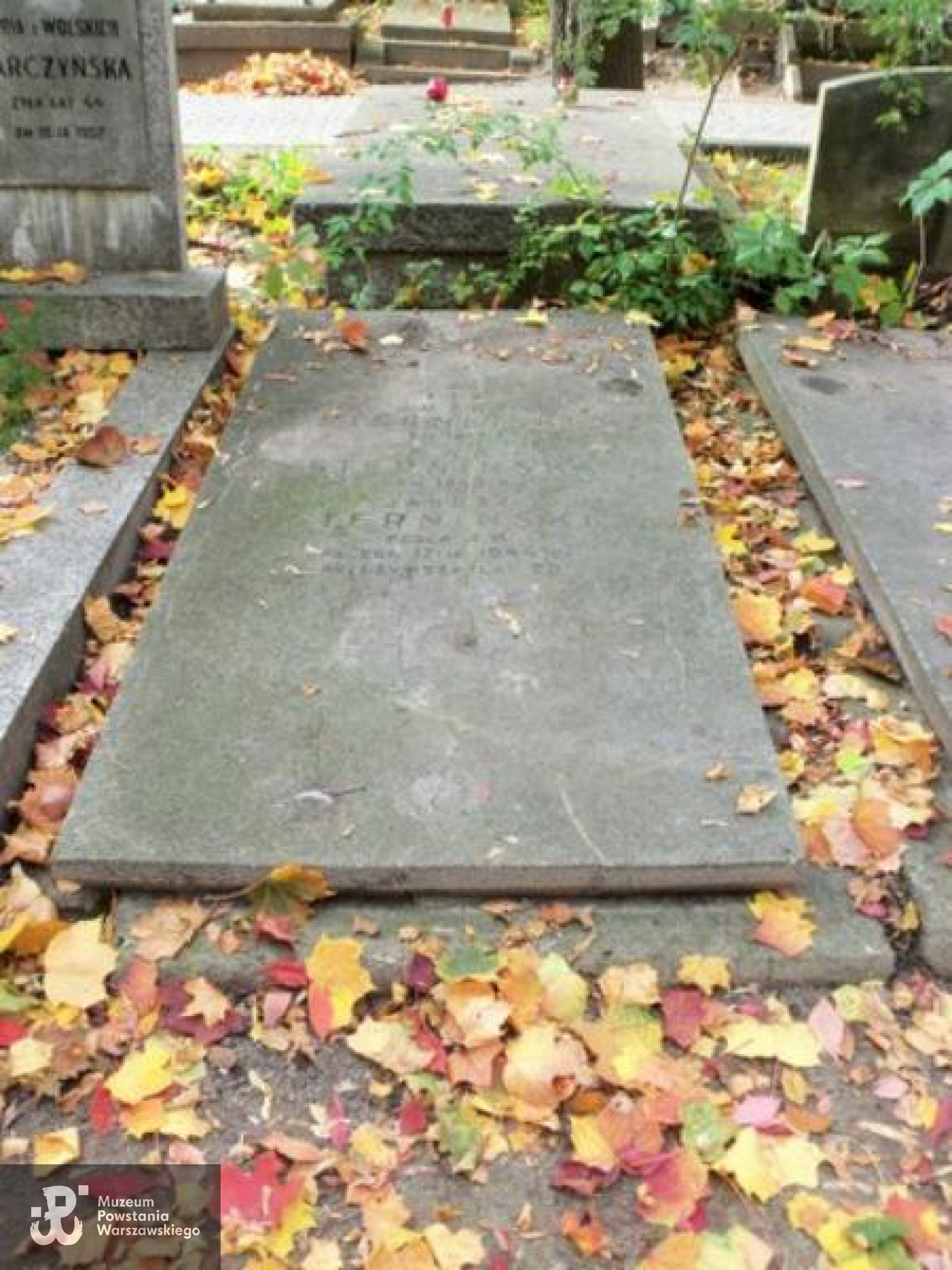 Fot. Warszawskie Zabytkowe Pomniki Nagrobne - <i>cmentarze.um.warszawa.pl</i>