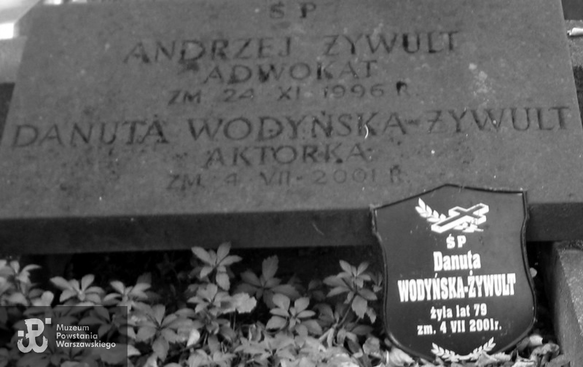 Cmentarz Powązkowski w Warszawie (Stare Powązki), kw. 16 - 6 -29. Fot. <i> mojecmentarze.blogspot.com</i>