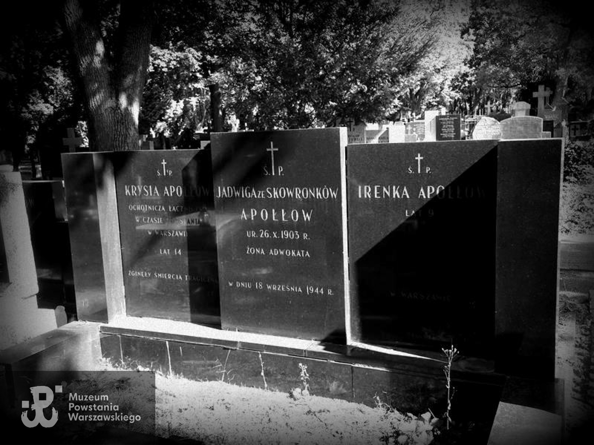 Fot. Warszawskie Zabytkowe Pomniki Nagrobne - <i>cmentarze.um.warszawa.pl</i>