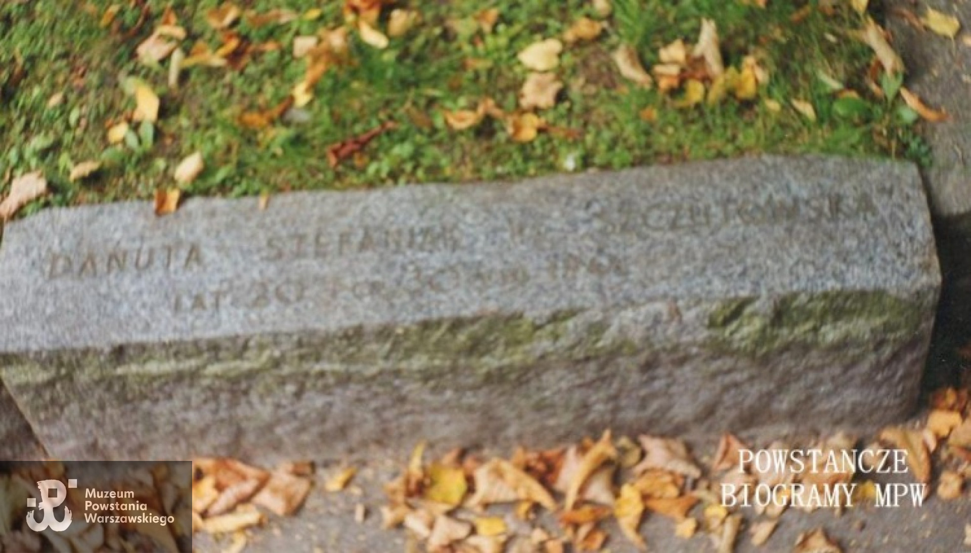 Cmentarz Powązki Wojskowe. Fot. archiwum A. Dławichowskiego.