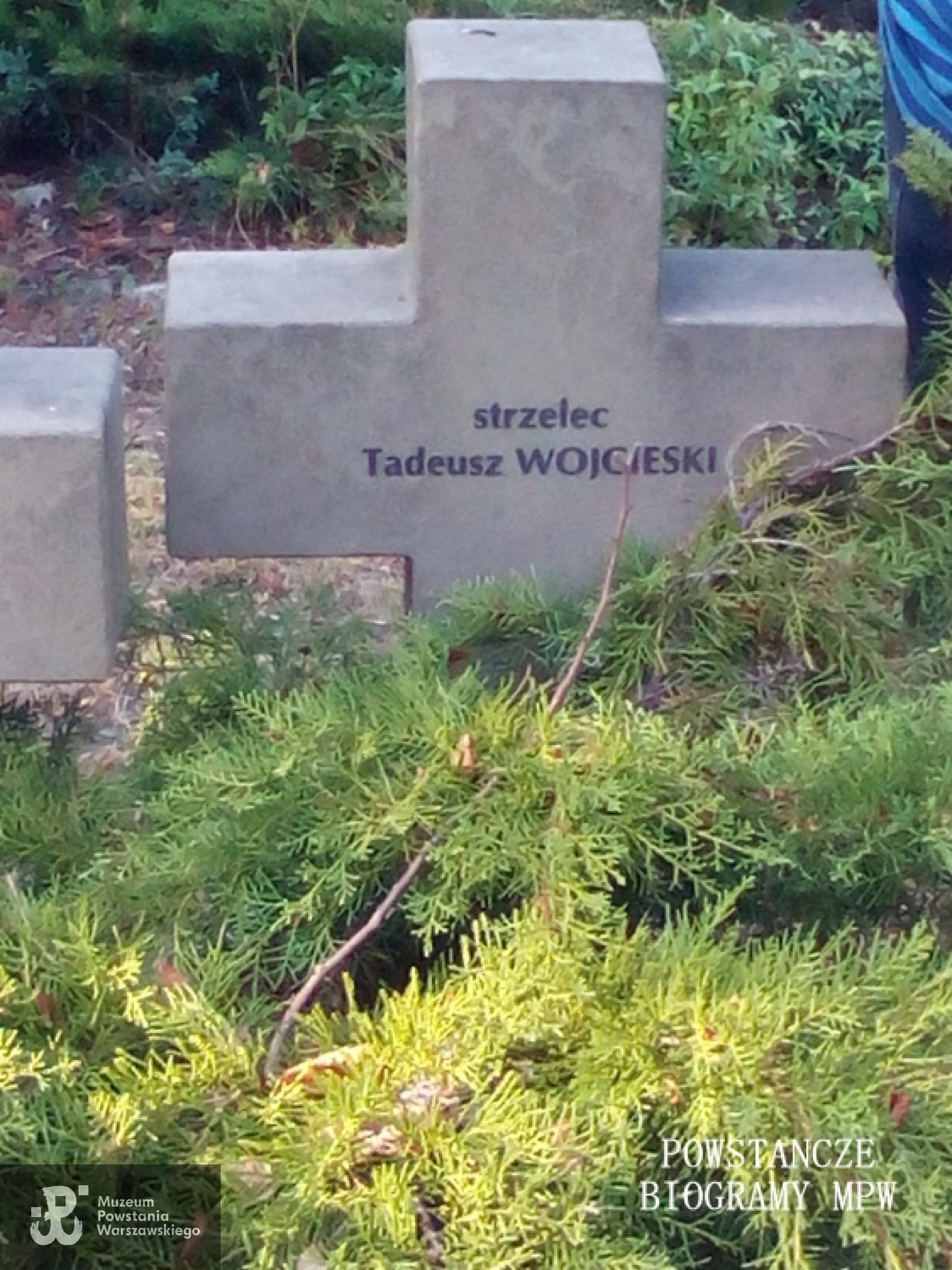 Krzyż na Cmentarzu Wojennym w Budach Zosinych. Fot. Mariusz Skroński