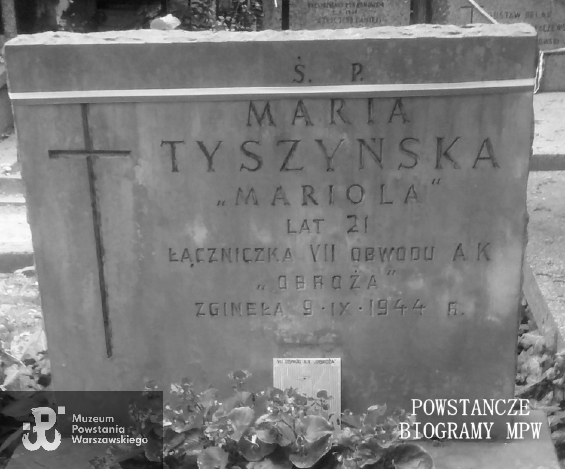 Fot. udostępnione przez Magdalenę Ciok.