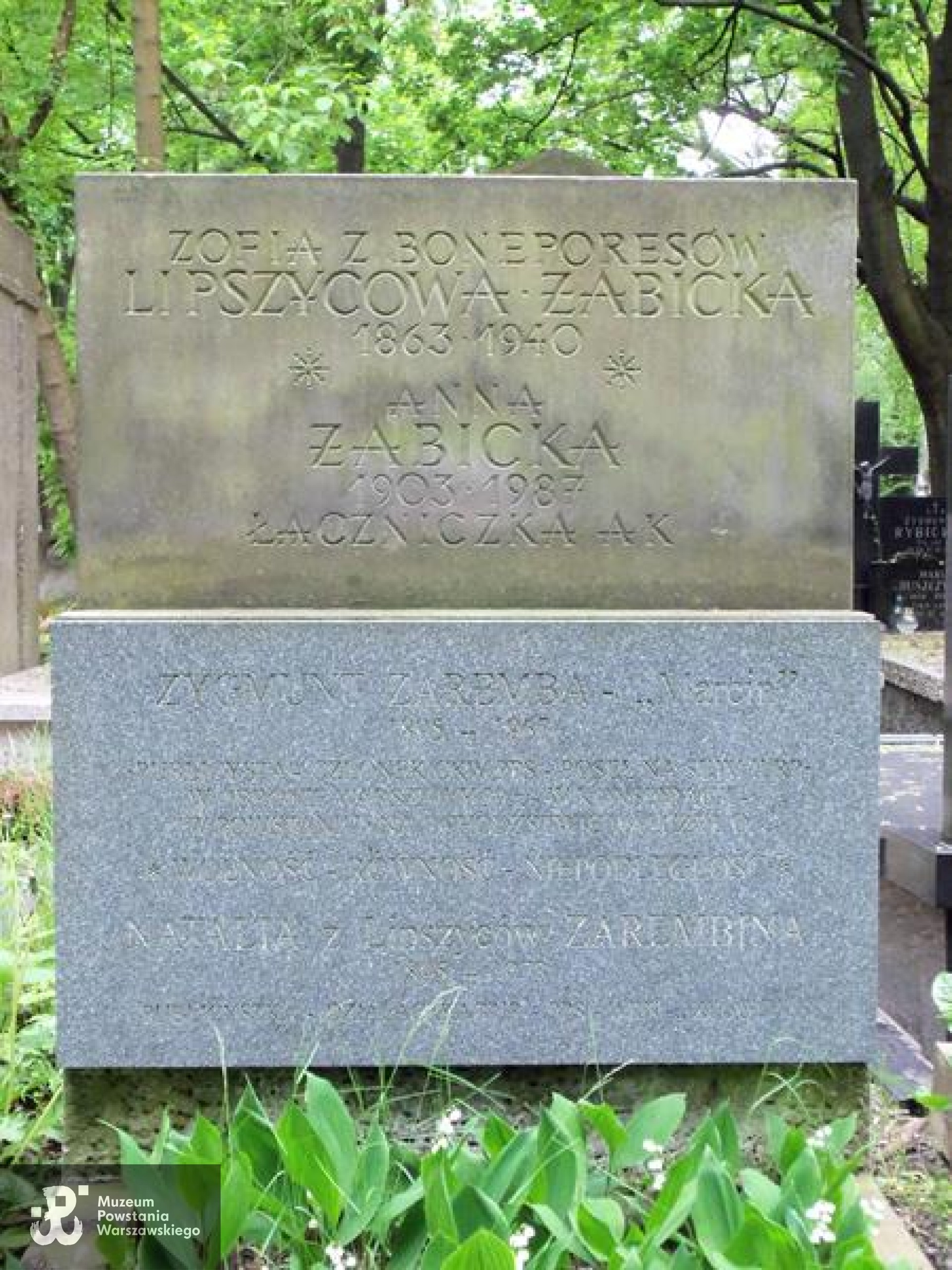 Cmentarz Powązkowski w Warszawie (Stare Powązki), kwatera  139, rząd 3, miejsce 26, stan przed renowacją pomnika