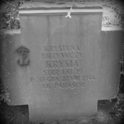 Cmentarz Wojskowy na Powązkach. Fot. udostępniła Magdalena Ciok.