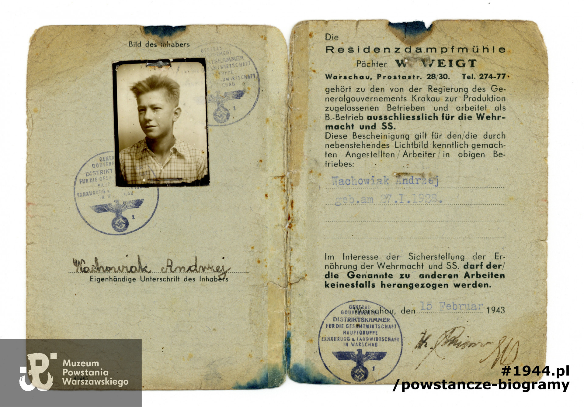 Należący do Andrzeja Wachowiaka Arbeitsbescheinigung (zaświadczenie o zatrudnieniu). Dokument wystawiony w lutym 1943 roku. Ze zbiorów Muzeum Powstania Warszawskiego, sygn. MPW-A/2094 (P/254)