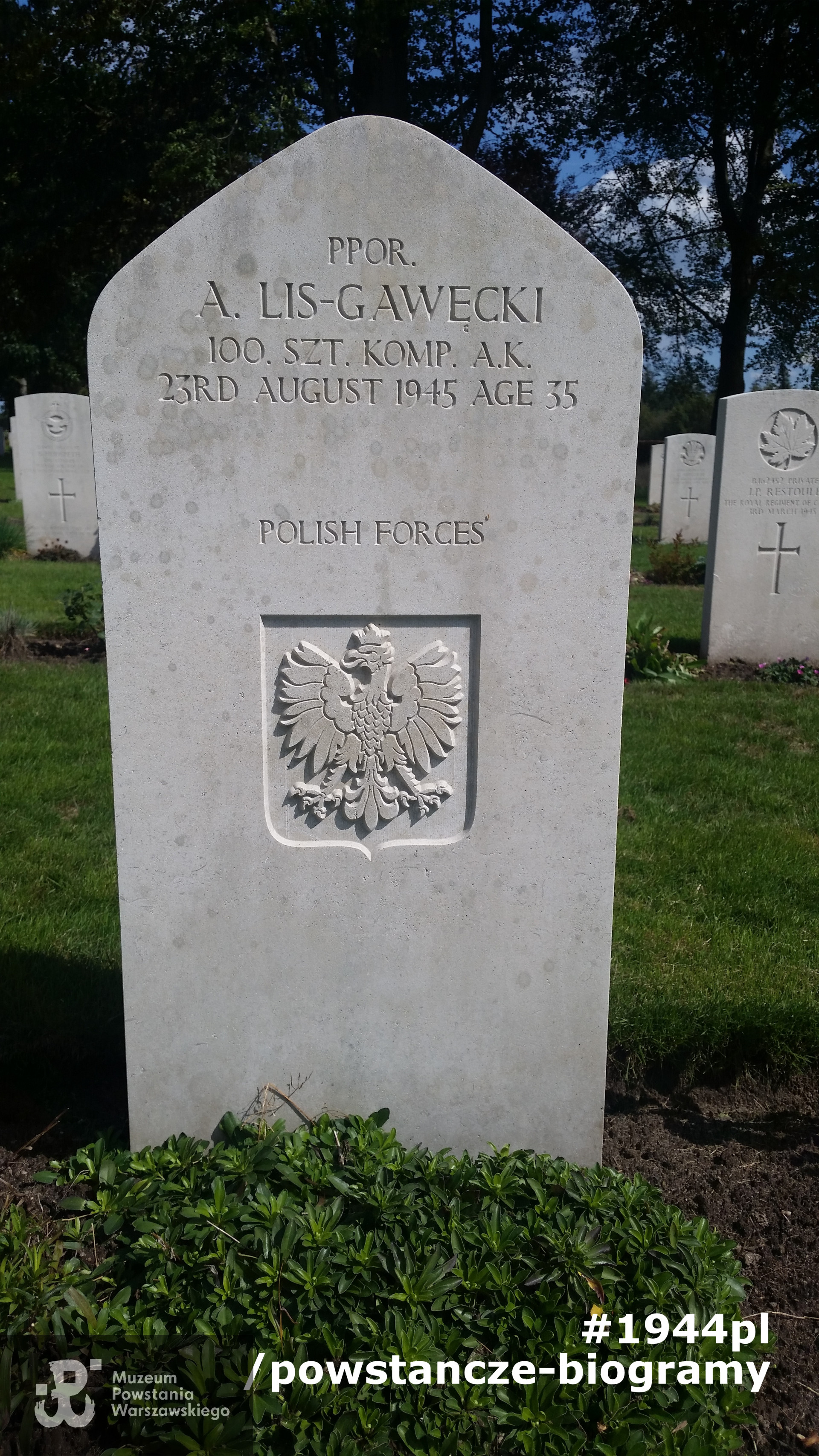 Cmentarz wojskowy Groesbeek - Holandia. Fot.  udostępniła p. Magdalena Salamonowska