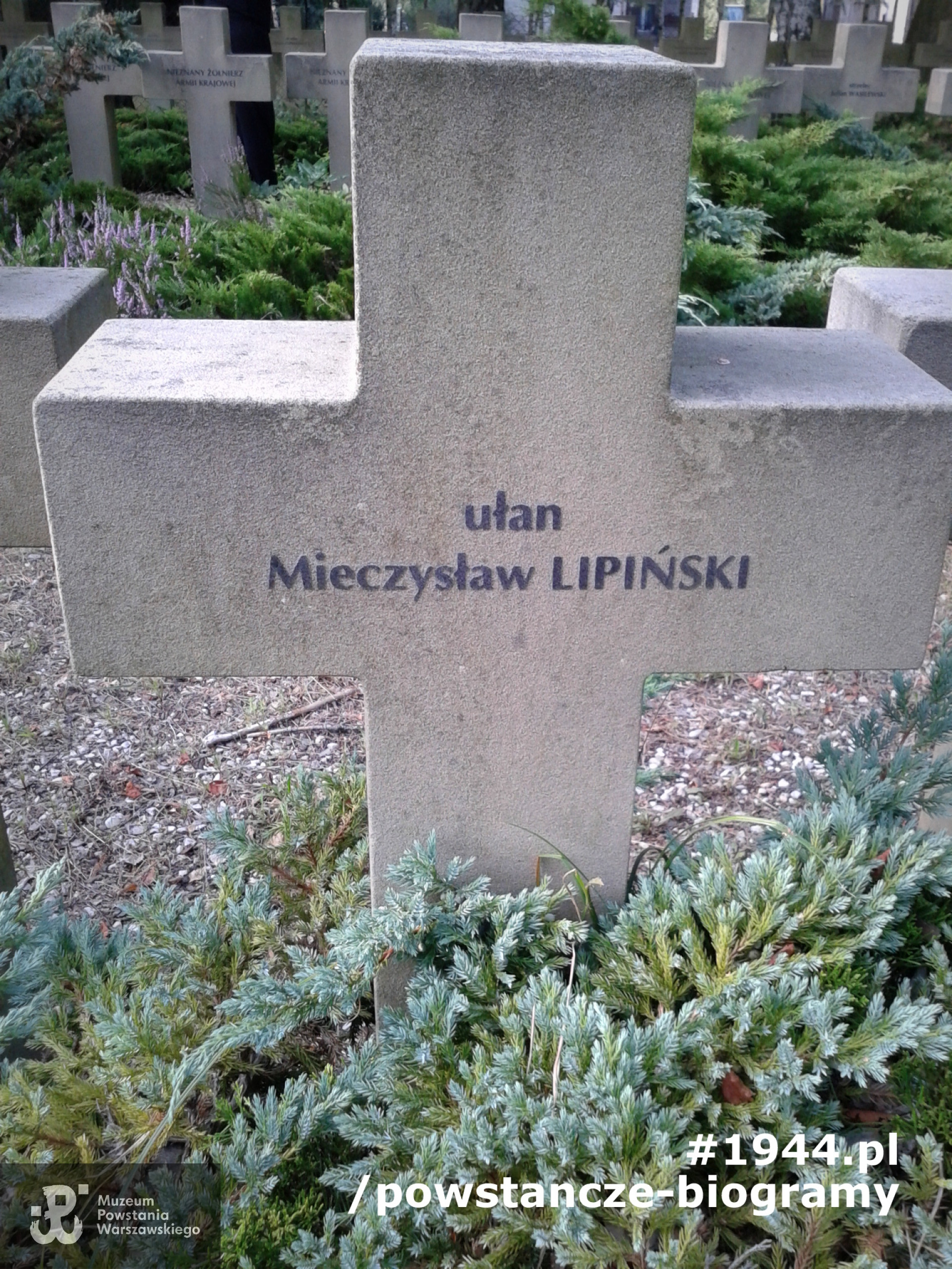 Mogiła na Cmentarzu Wojennym w Budach Zosinych. Fot. Mariusz Skroński