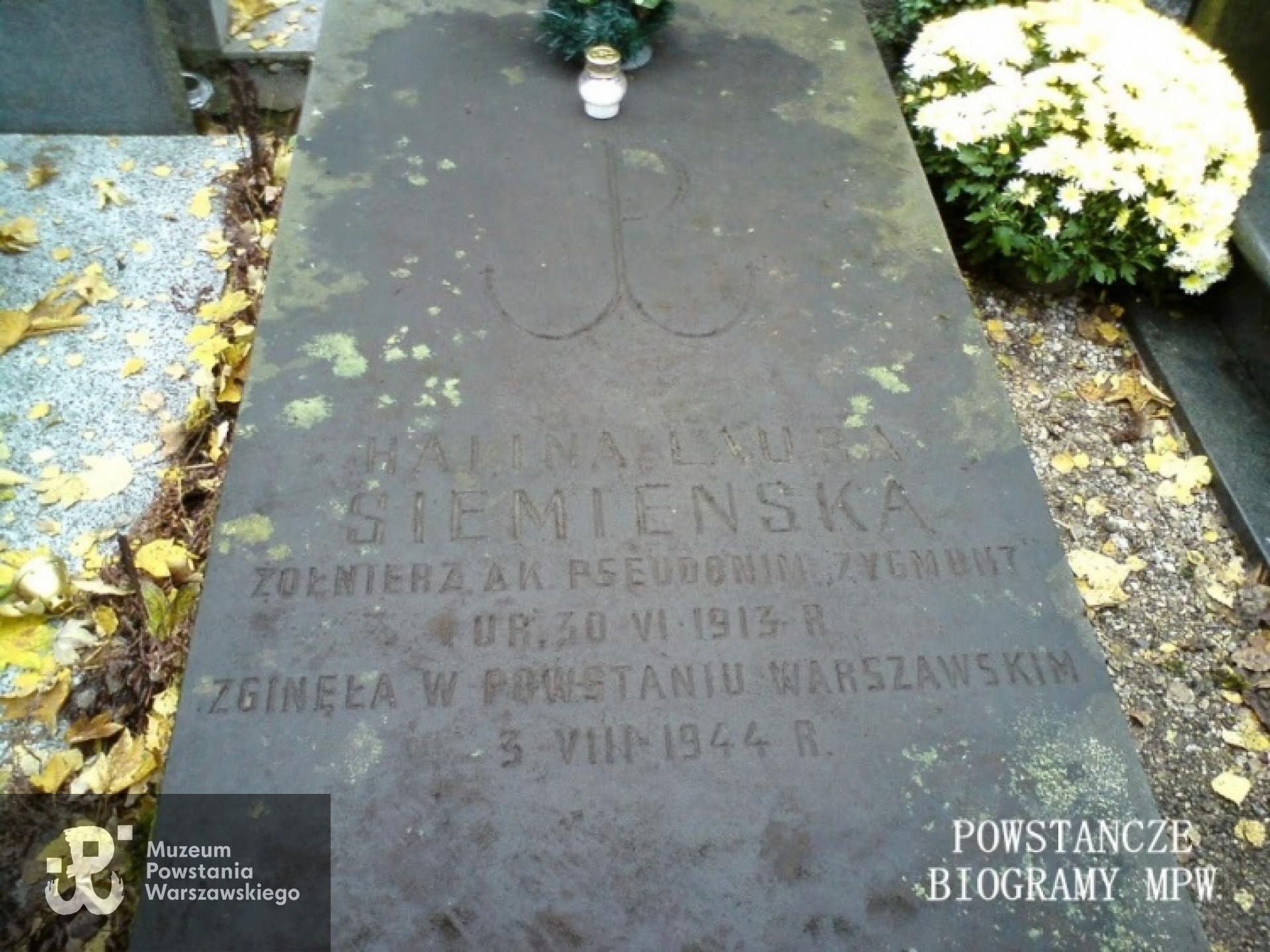 Cmentarz Wojskowy na Powązkach, kw. A 22, rząd 5, grób 10. Fot. udostępniła Magdalena Ciok.