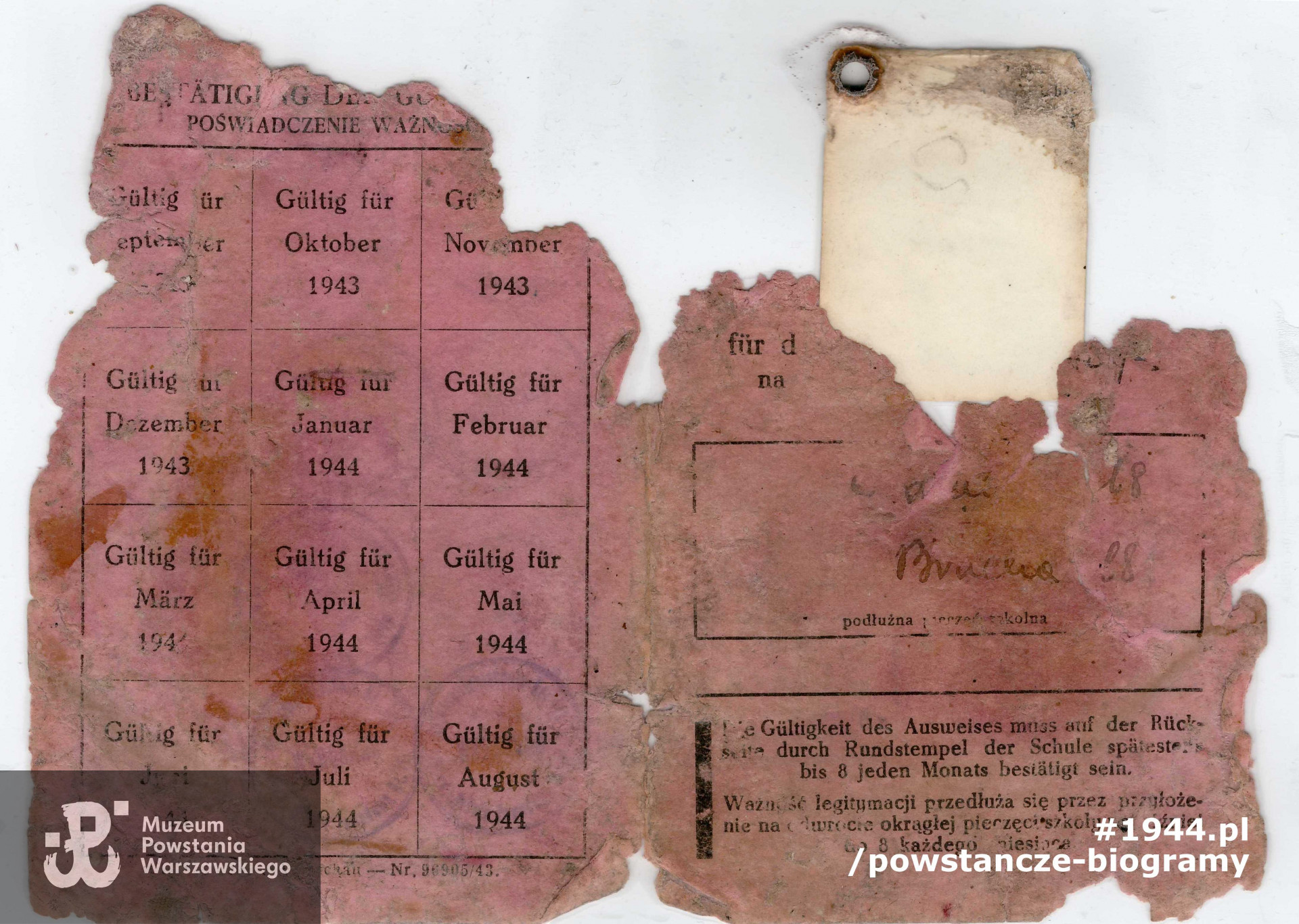 Dokumenty Wandy znalezione luzem w kanale burzowca przy ul. Agrykola, obecnie w zbiorach Muzeum Powstania Warszawskiego