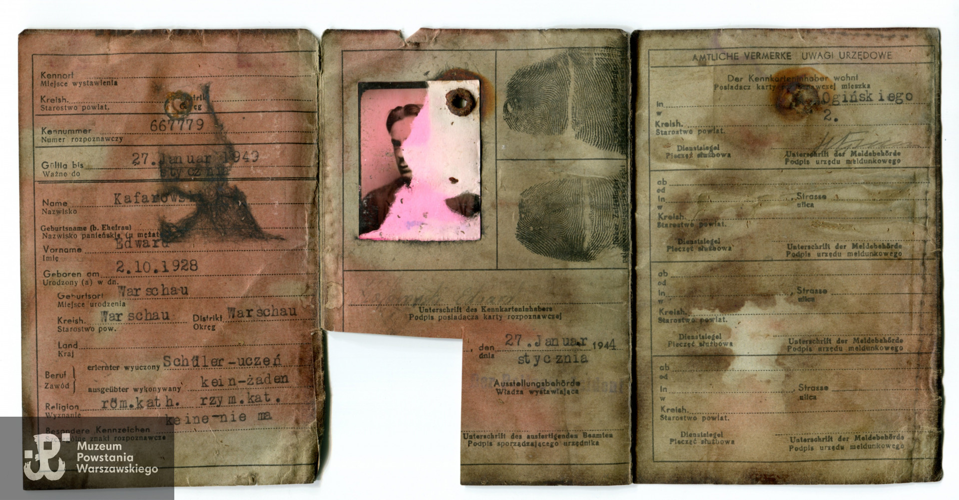 Kennkarta - jeden z dokumentów, który Edward miał przy sobie w chwili śmierci i które odnaleziono przy nim podczas ekshumacji. Skan: materiały do Słownika Uczestników PW - zasób Pokoju Kombatanta MPW