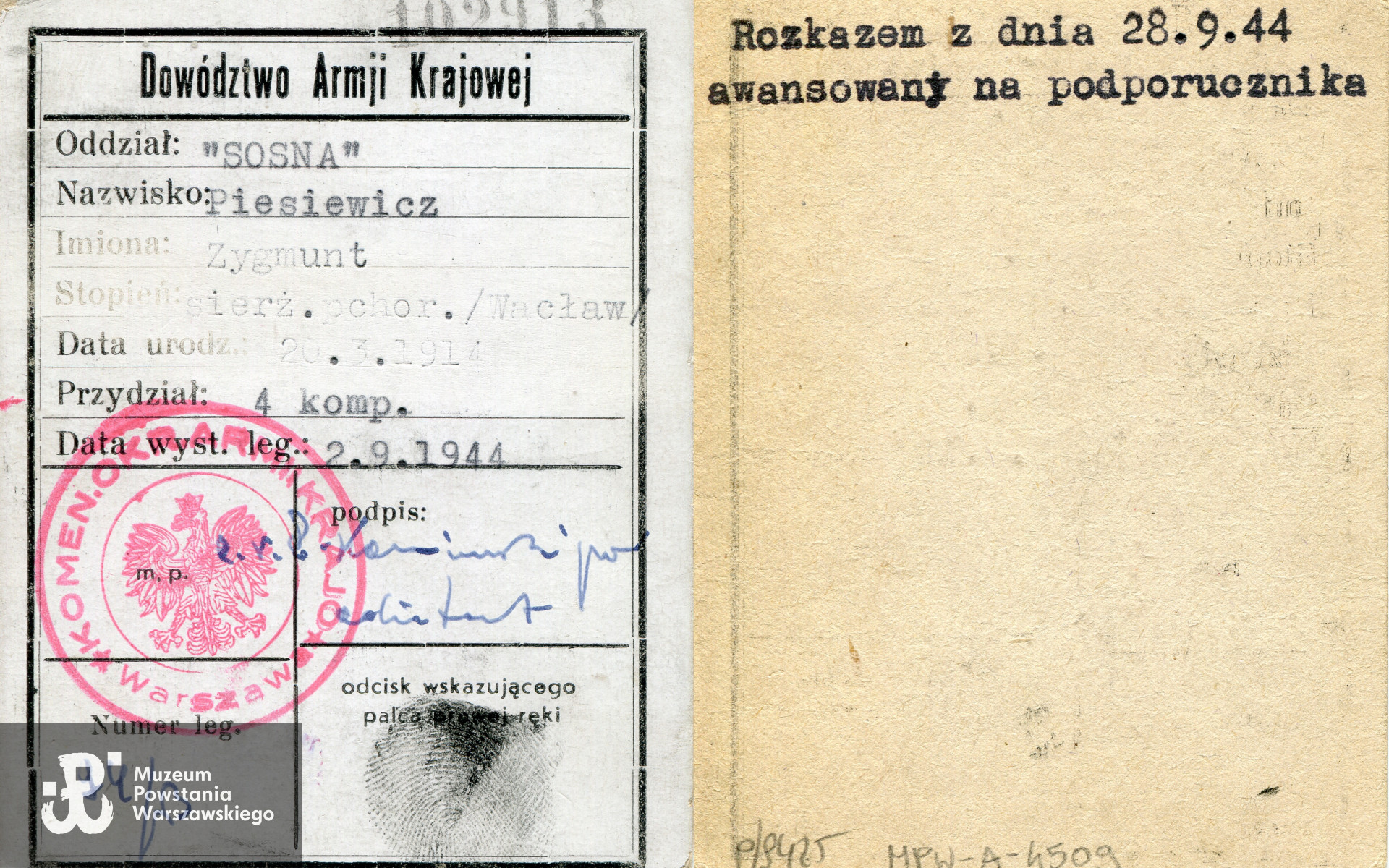 Legitymacja AK, nr 94/B, wystawiona z datą 02.09.1944 r. Oddział "Sosna", stopień i nazwisko: sierż. pchor. Piesiewicz Zygmunt ps. Wacław,  data urodzenia: 20.03.1914 r. Przydział do 4 kompanii. Na legitymacji numer jeniecki 102913. Na rewersie: awans w dniu 28.09.1944 r. na ppor. Ze zbiorów Muzeum Powstania Warszawskiego, MPW-A-4509 (P/9425/20)
