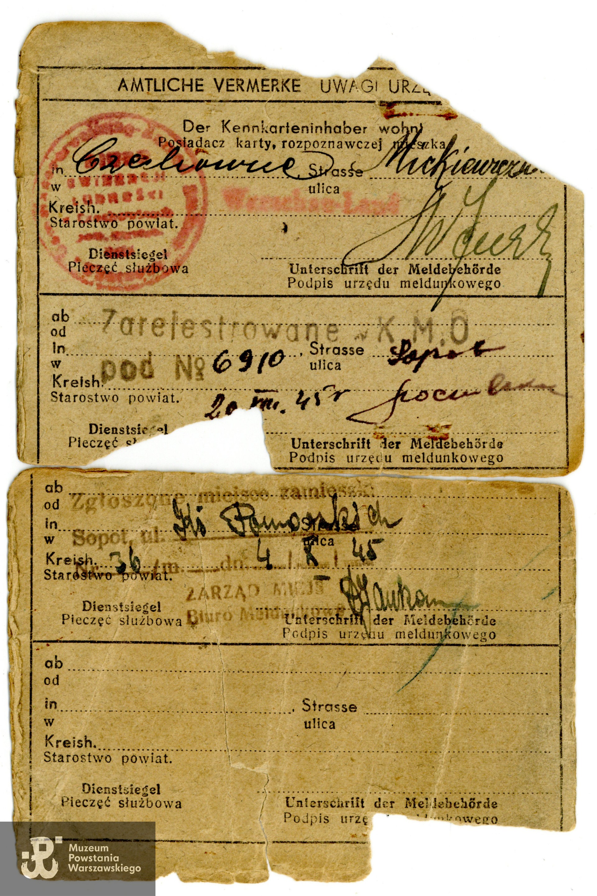 Fragment  kenkarty - obowiązkowego dokumentu tożsamości w okresie okupacji niemieckiej. Dokument  ze zbiorów rodzinnych, do wykonania skanów udostępnili p. Katarzyna i p. Adam Dziewońscy, skan wykonano w Muzeum Powstania Warszawskiego, 04/2025 