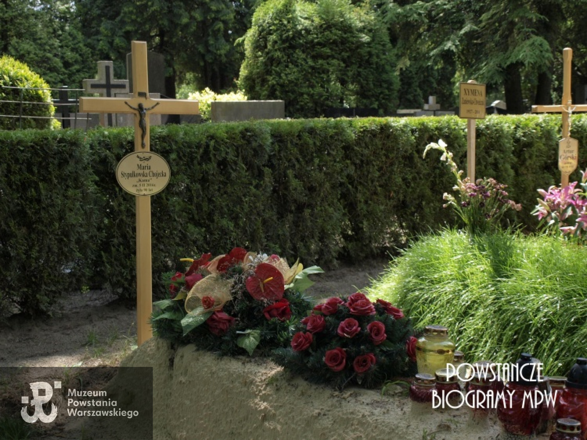 Grób "Kamy" - Powązki Wojskowe, lipiec 2016. Fot. M.Pałgan/MPW