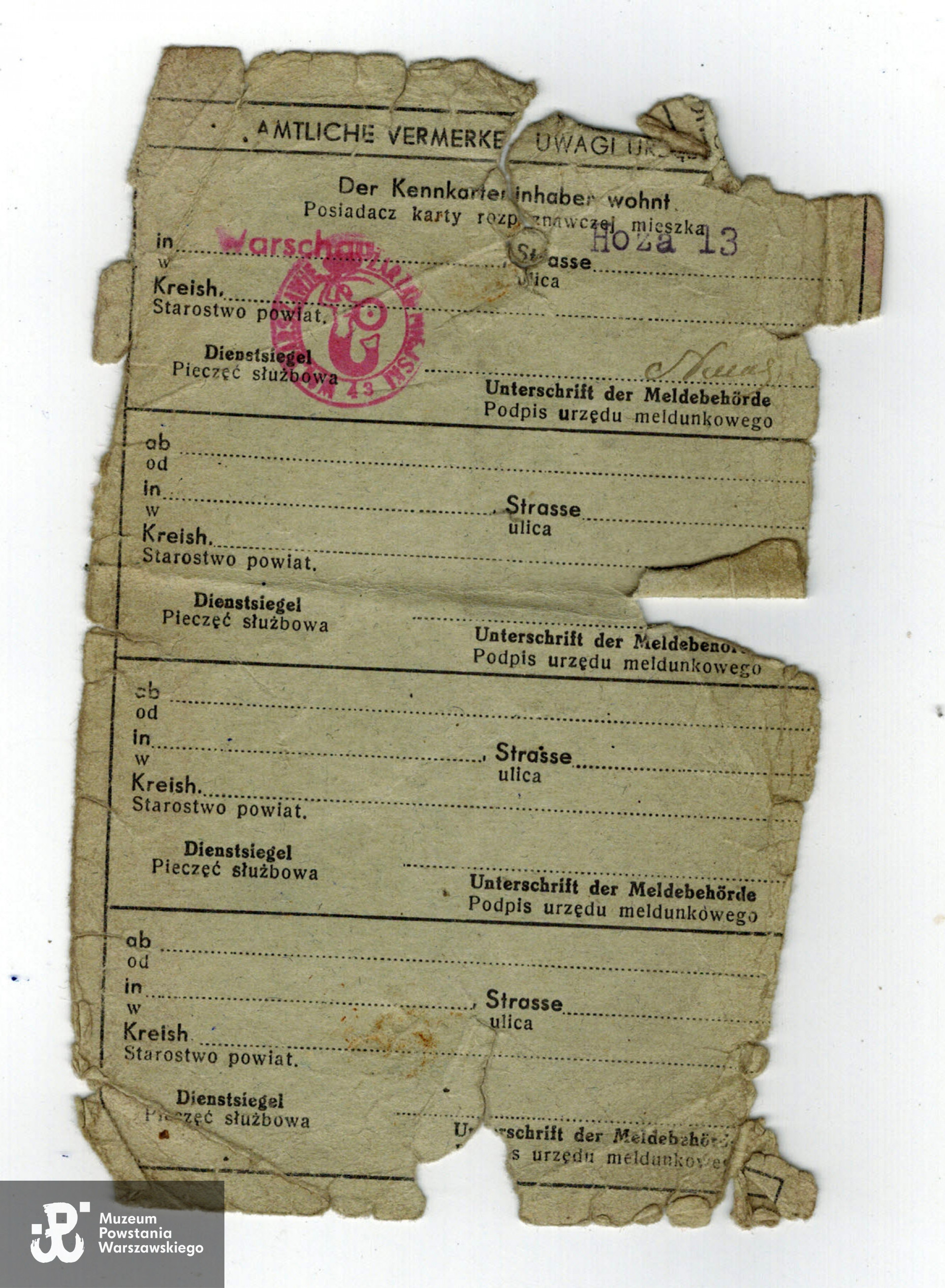 Fot. z archiwum rodzinnego Igora Niewiadomskiego